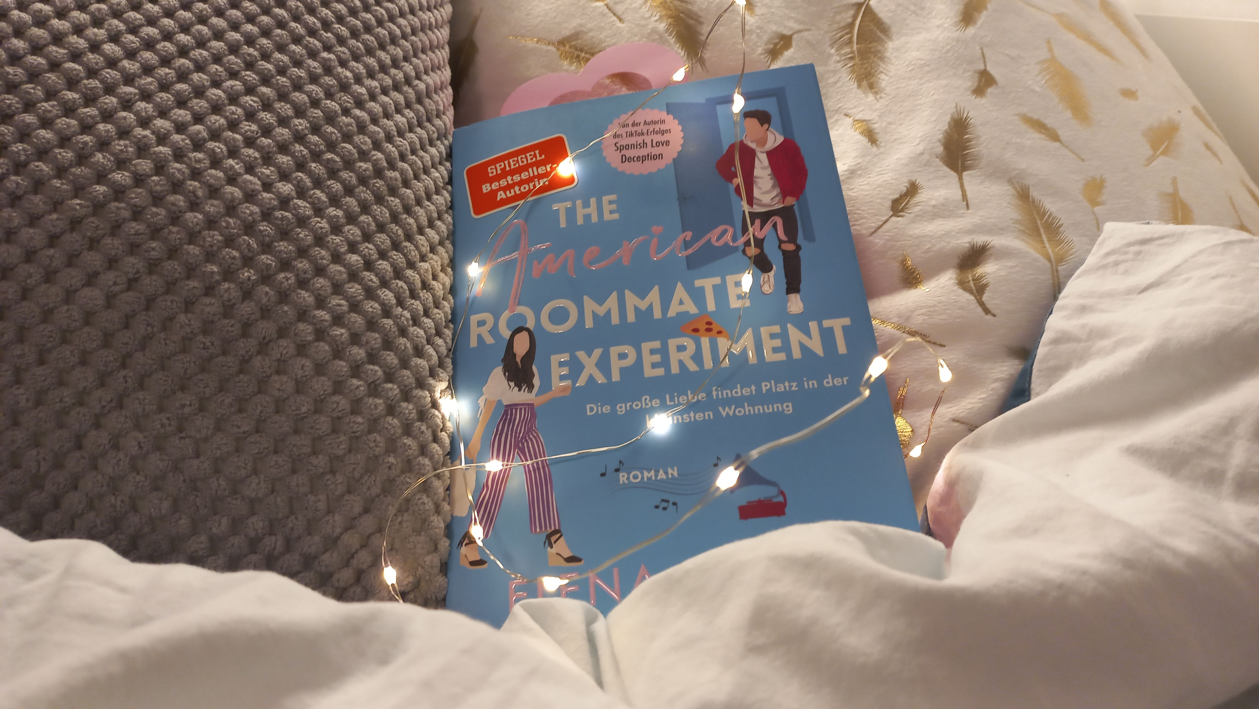 The american Roommate experiment K´s Little Library