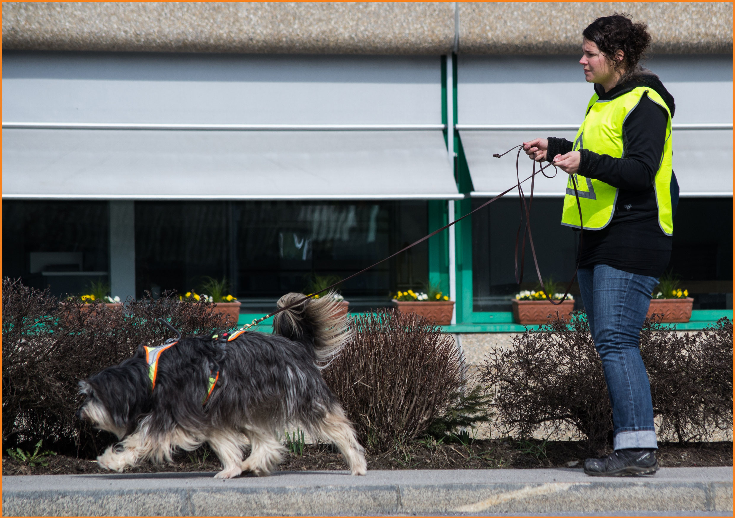 Mantrailing NatürlichHund, die Hundeschule für