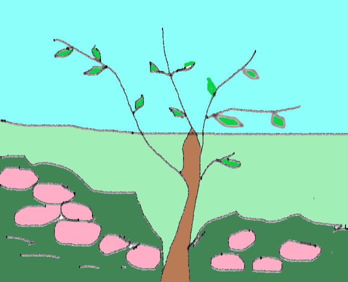 der Wind weht lisaoesterheld.de