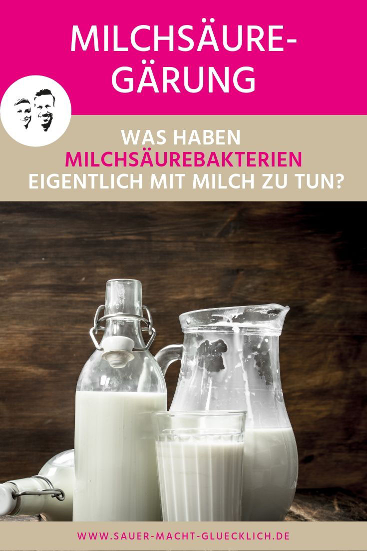 Was haben Milchsäurebakterien eigentlich mit Milch zu tun? - SAUER