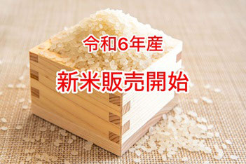 カグラモチ 餅米 もち米 10kg(5kg×2) 三重県産 令和6年産 精米