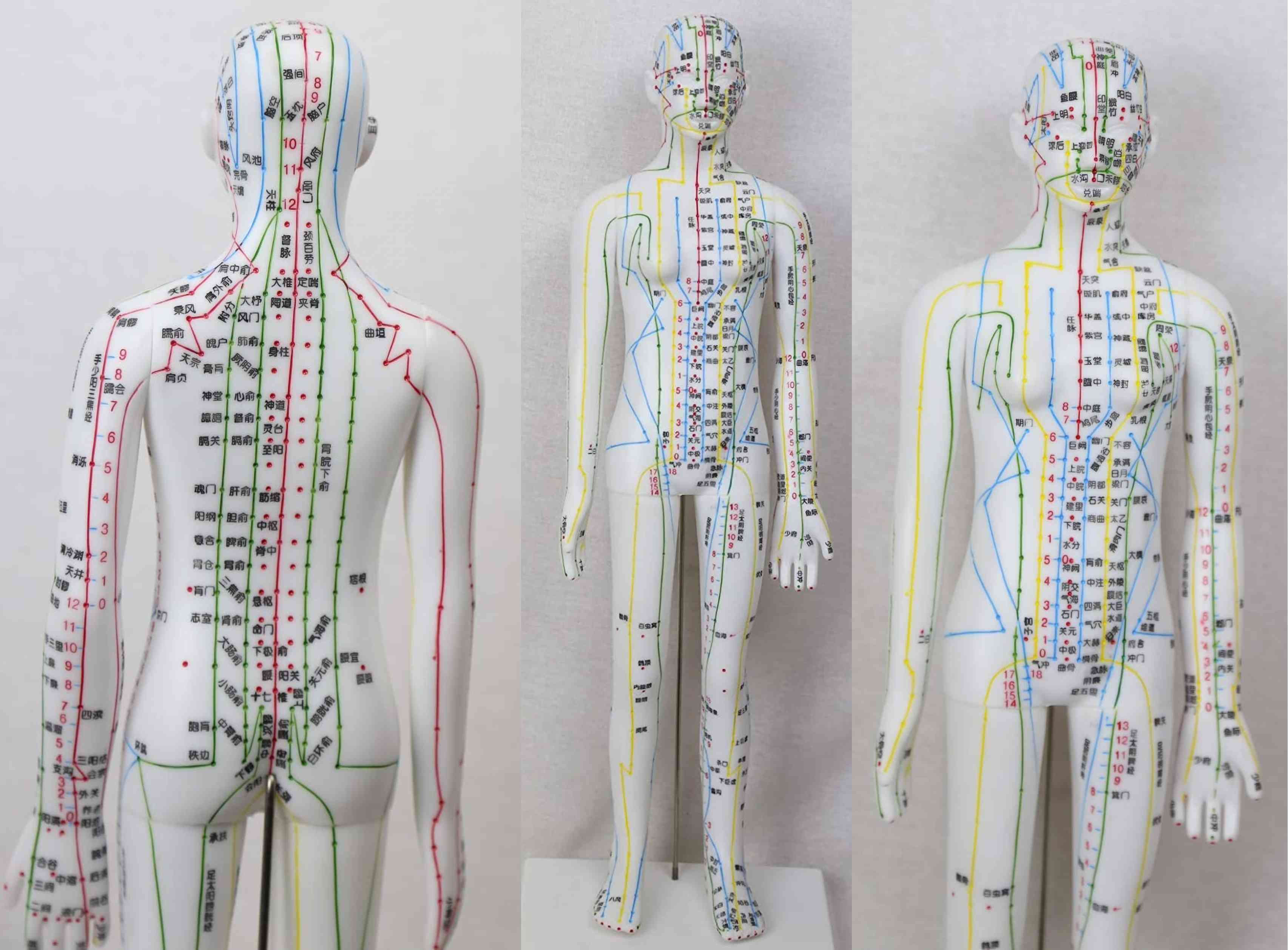 阿是穴(あぜけつ)鍼灸師2』 - 高宮駅徒歩8分／鍼灸と合気道の