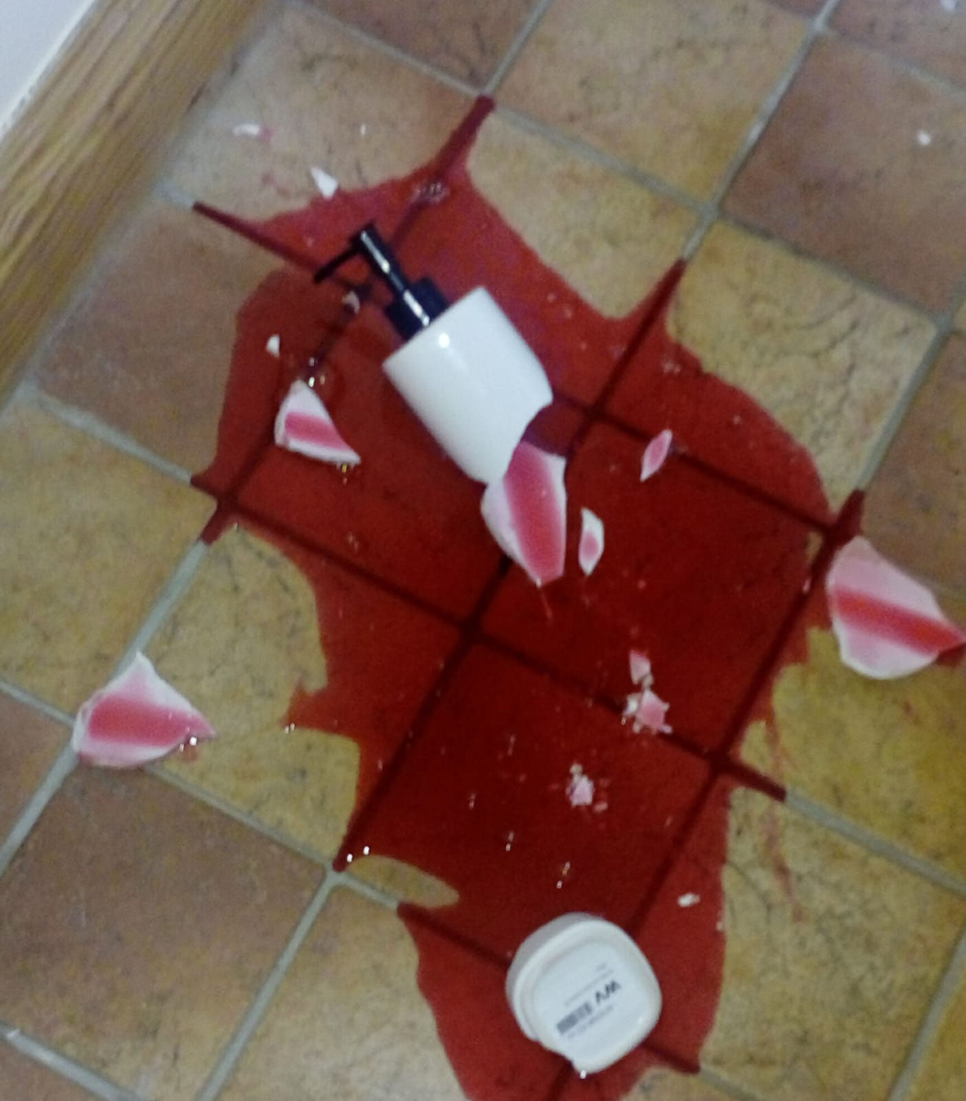 Diary of a Tiger Mum - Áirc Midlands