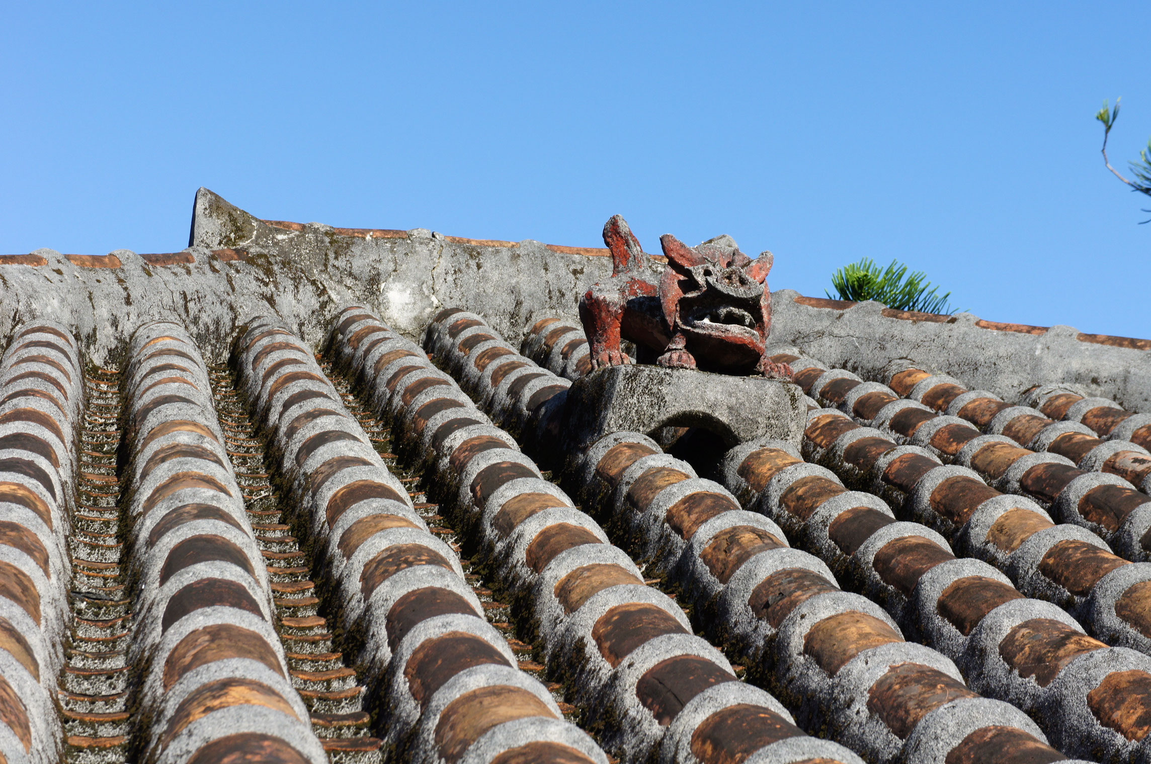 岸本ウラチ　シーサー　ぽーたま　琉球漆喰 岸本ウラチ シーサー ぽーたま 琉球漆喰 Amazon.co.jp: 琉球漆喰