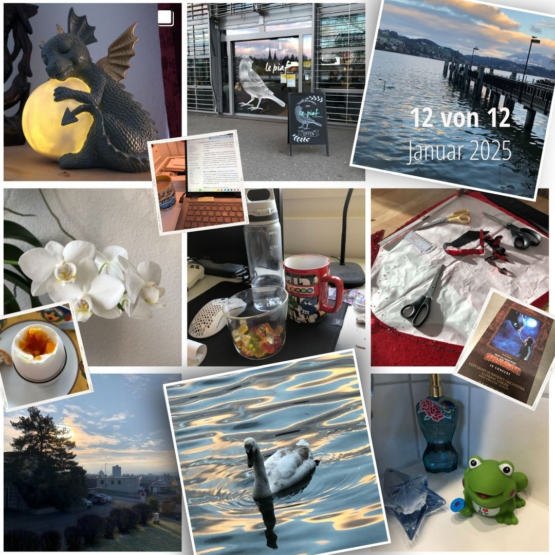 12 von 12 - mein Januar Tag in Bilder