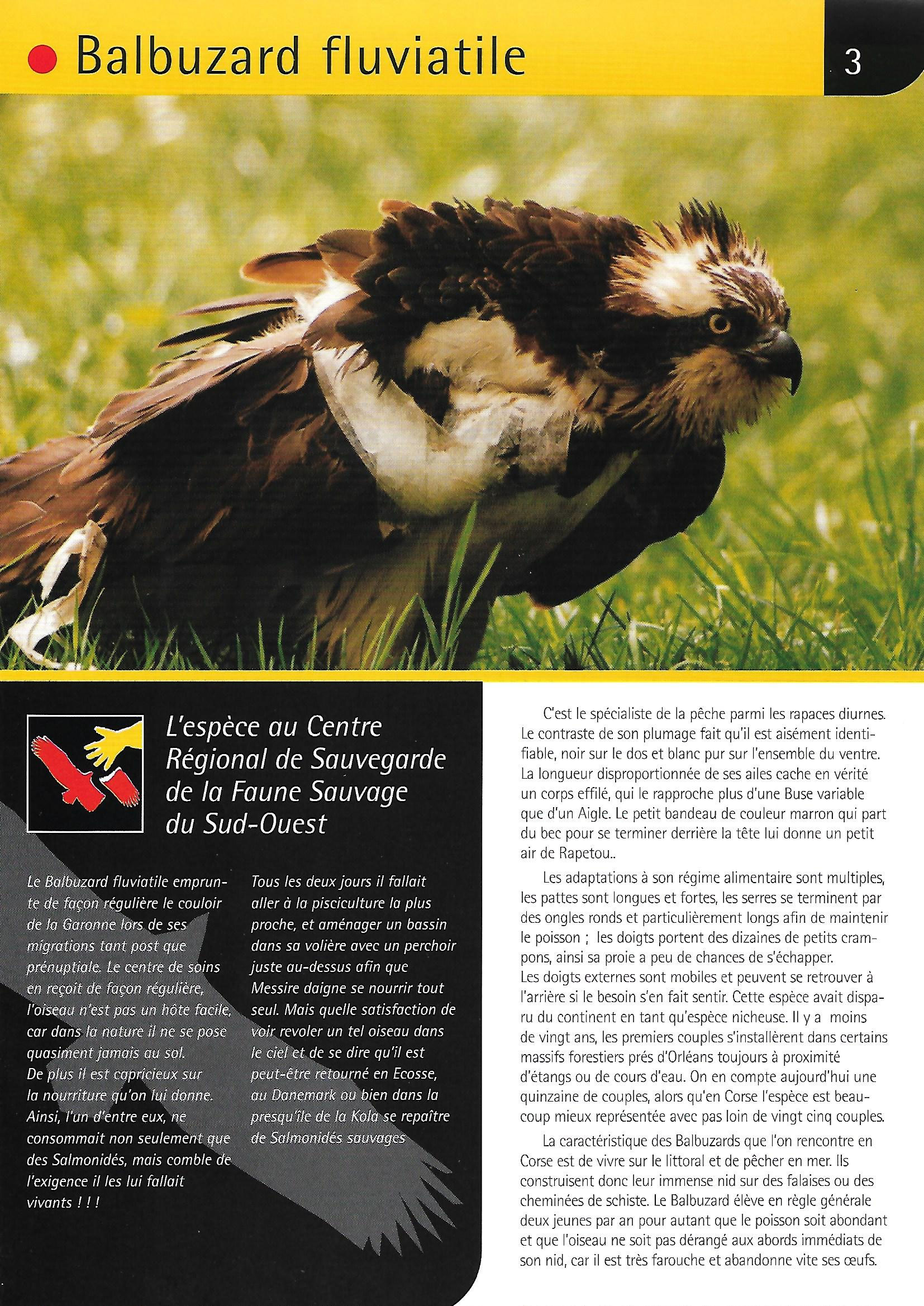 faune sauvage d'AQUITAINE Site de soinsfaunesauvagetonneins