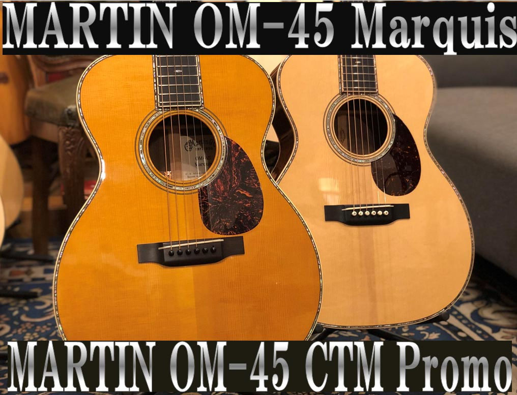 至極のmartinスタイル45弾き比べ.jpg