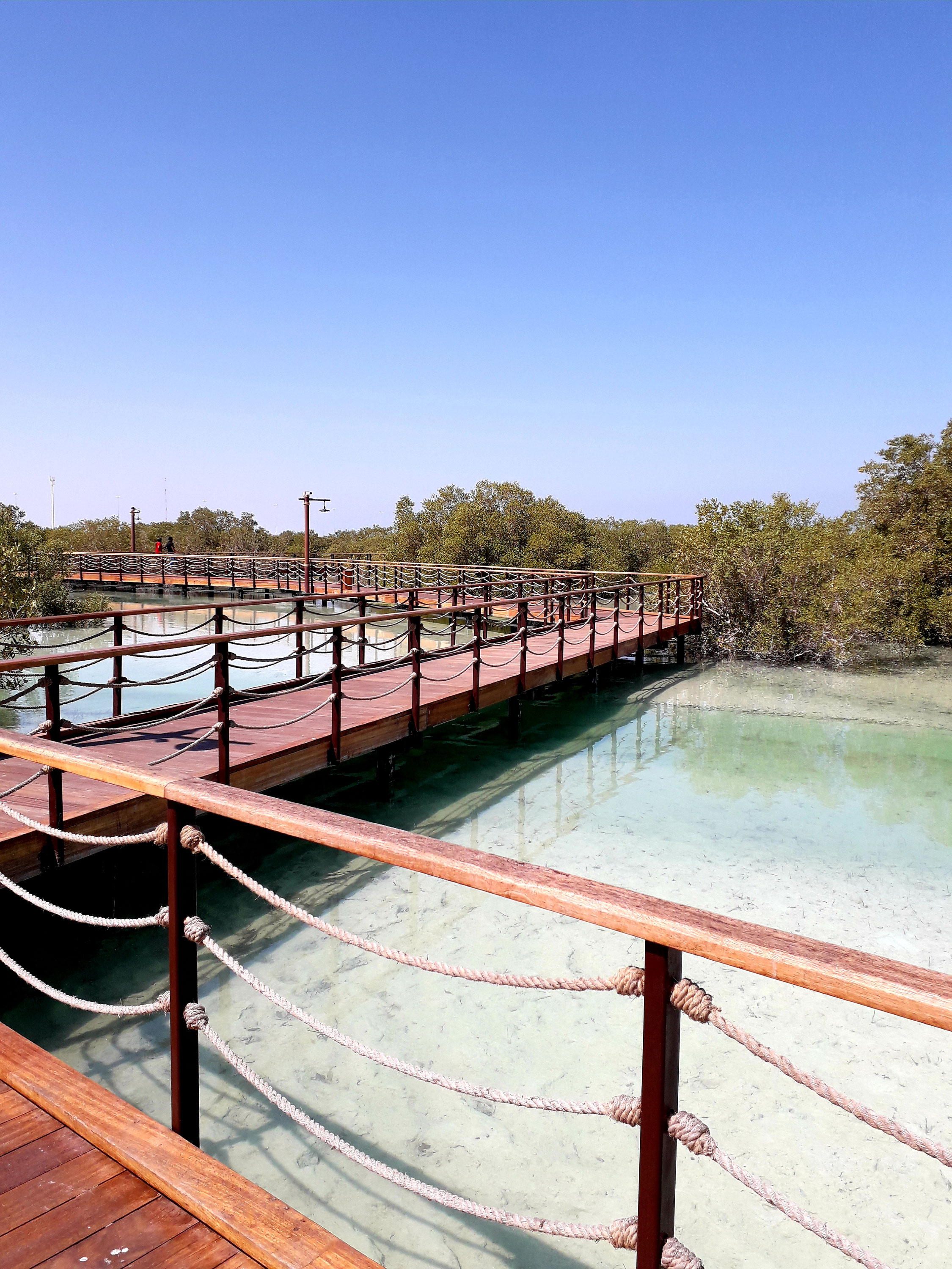 Abu Dhabi's traumhaft schöner Mangroven Walk - Stadt-Land-Meer