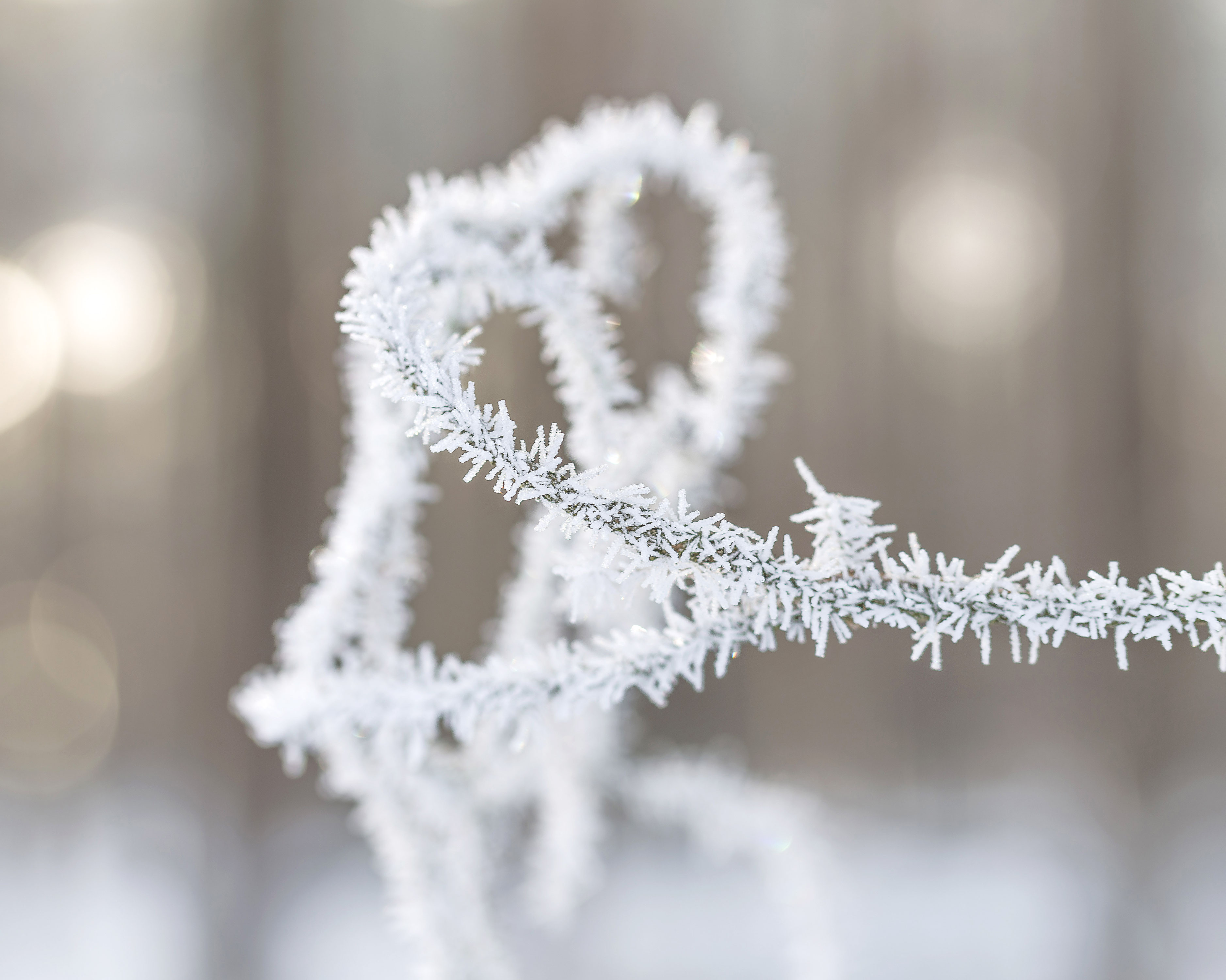 König FROST Sandra Klaas FOTOGRAFIE & MEE(H)R in MecklenburgVorpommern