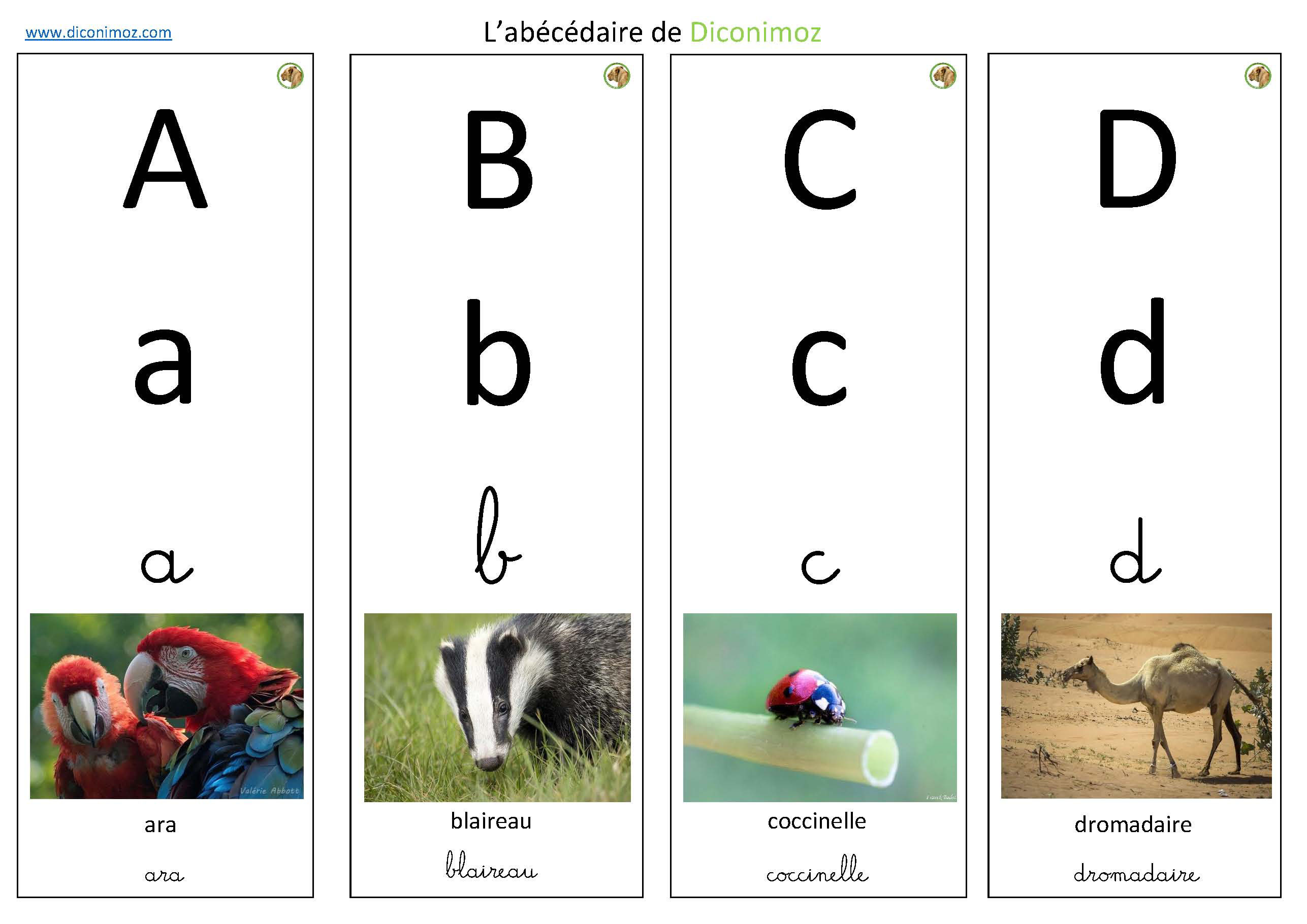 Abécédaire Maternelle Abécédaire à Imprimer L'abécédaire des animaux pour les tous petits - Dictionnaire des animaux