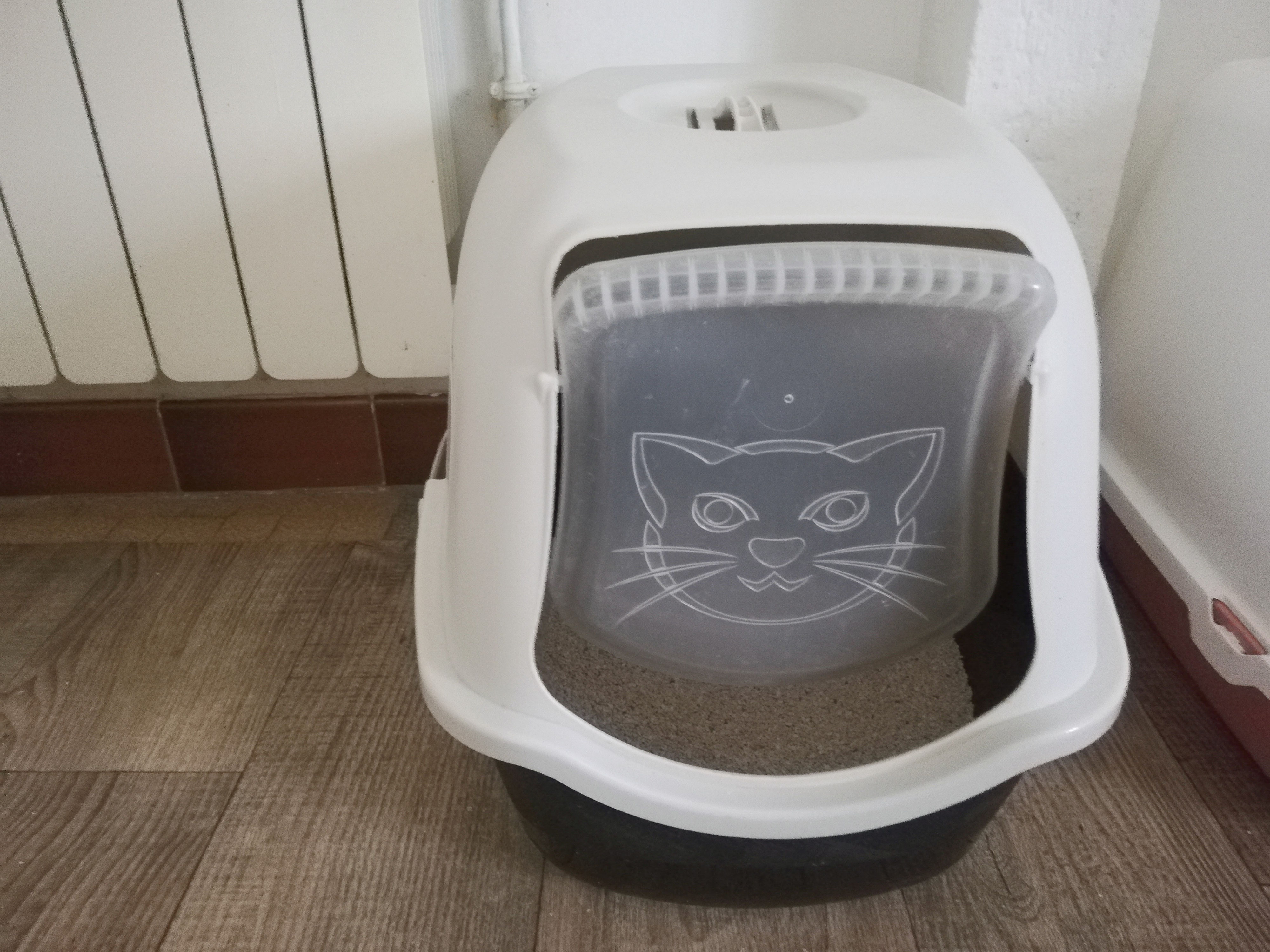 Guide pour choisir la meilleure litière pour votre chat comparaison, avantages et