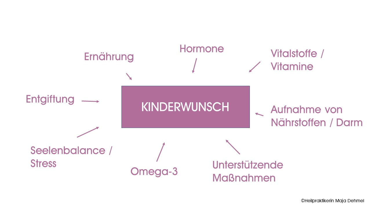 Kinderwunsch Maja Dehmel Heilpraktikerin in München Zentrum