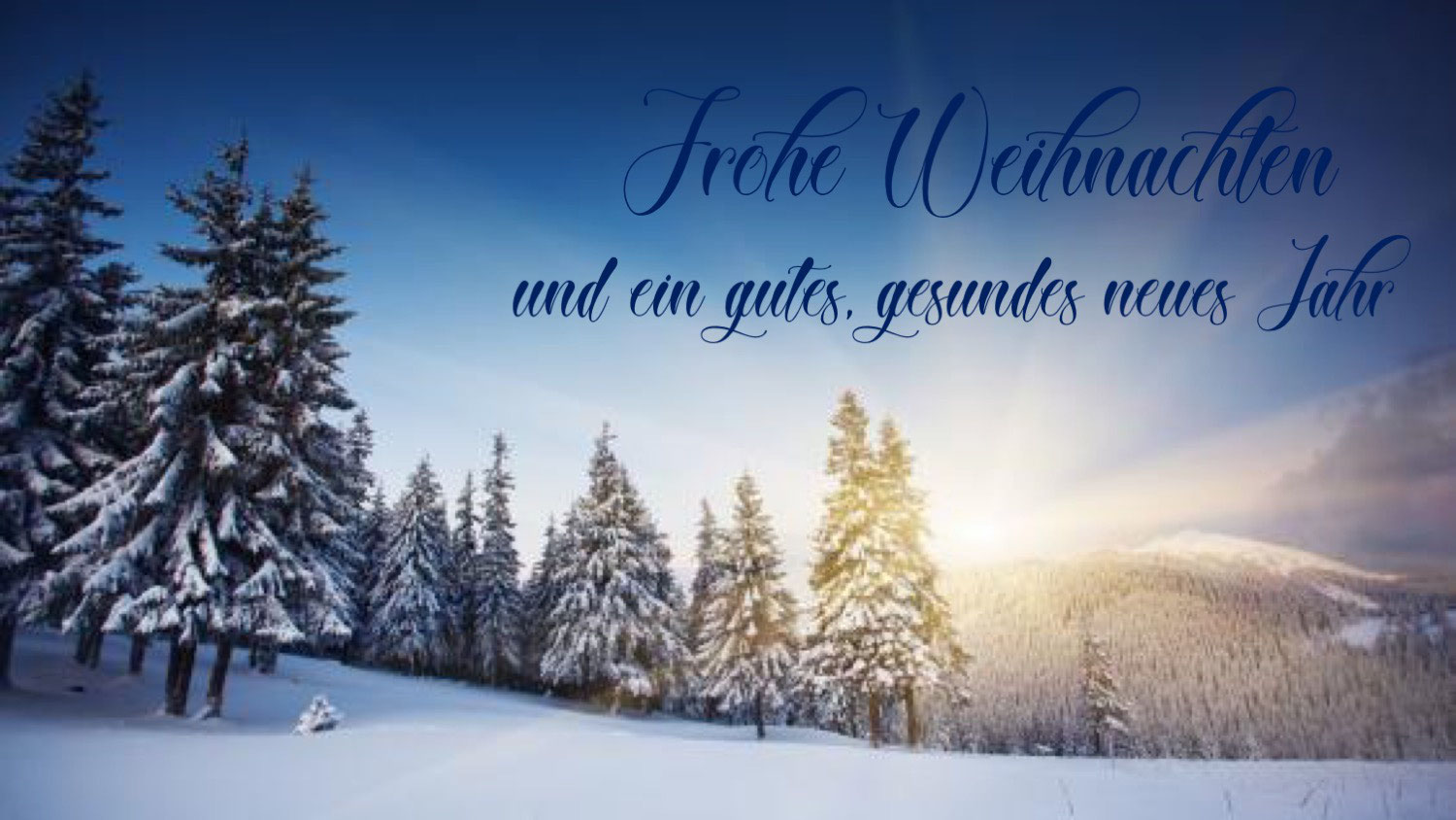 Frohe Weihnachten und ein gesundes neues Jahr! Verein für Natur und