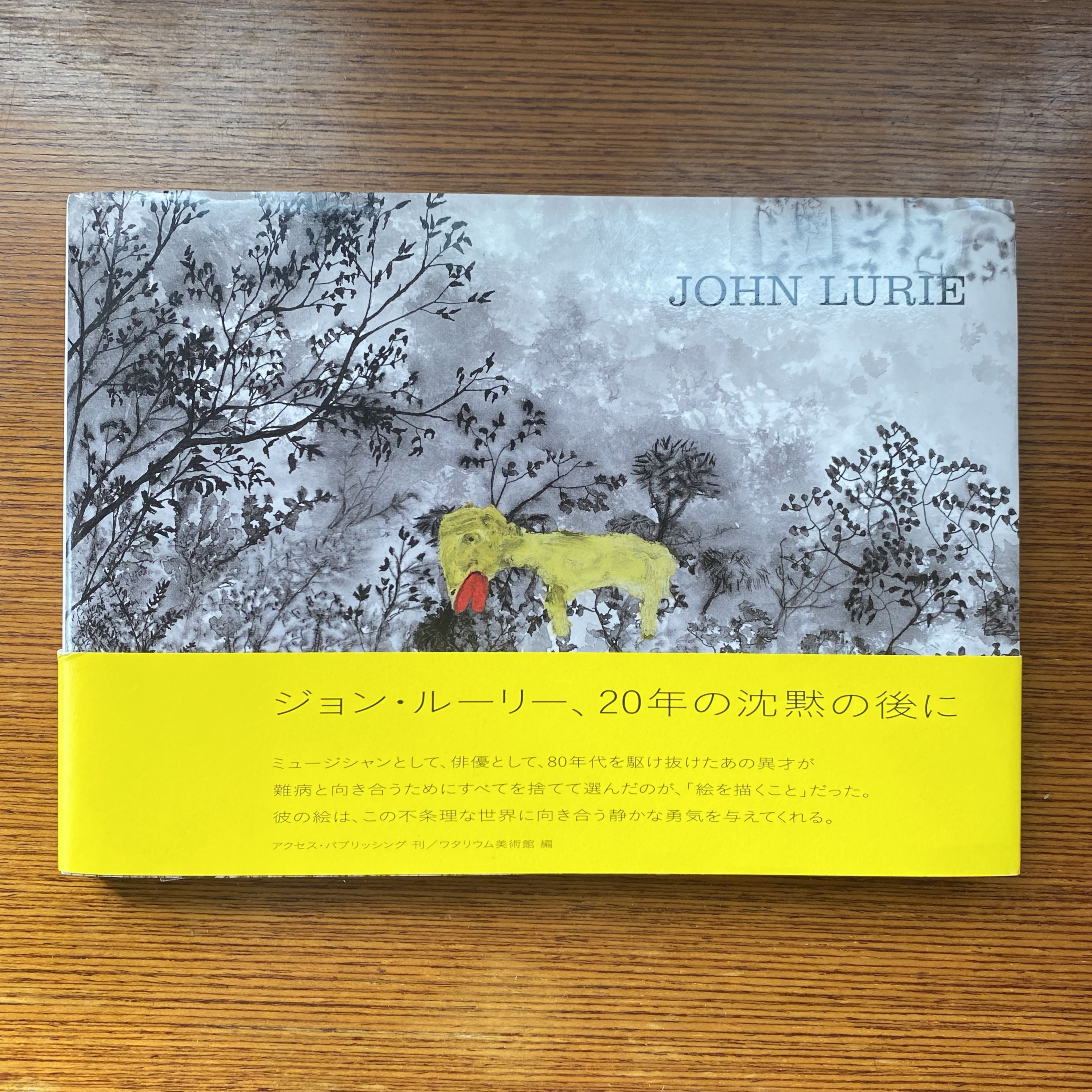 オシャレなアート本】『JOHN LURIE』 - onlineartjournal.com オシャレなアート本】『JOHN LURIE』 - onlineartjournal.com
