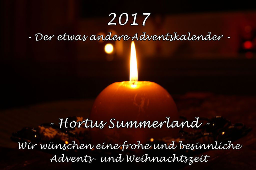 Der etwas andere Adventskalender - Hortus Summerland