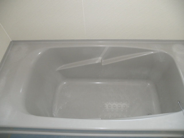 image.jpg