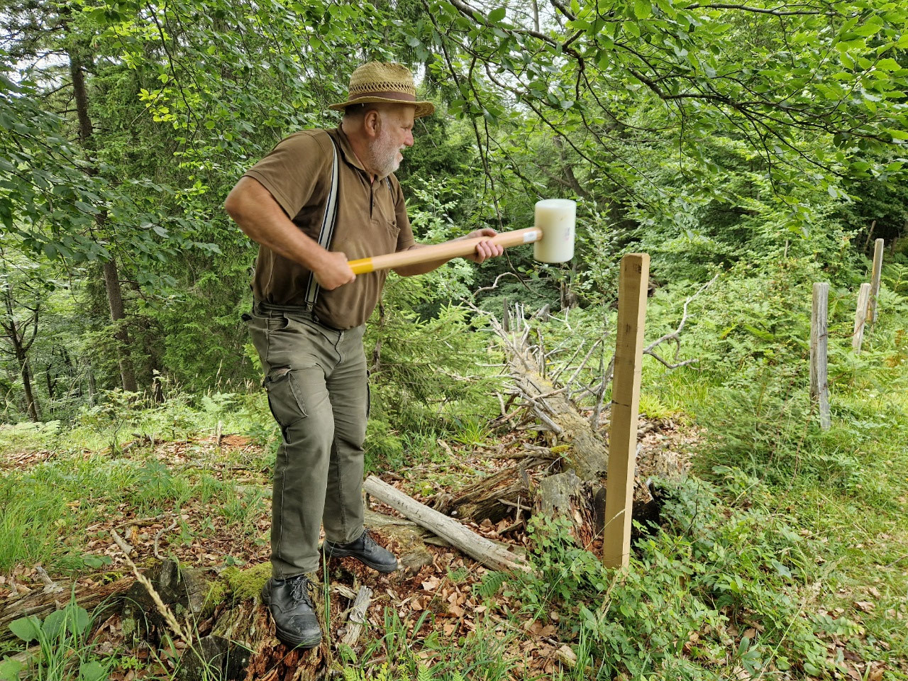 Ein Arbeitstag auf der Alm Anlaufalm!