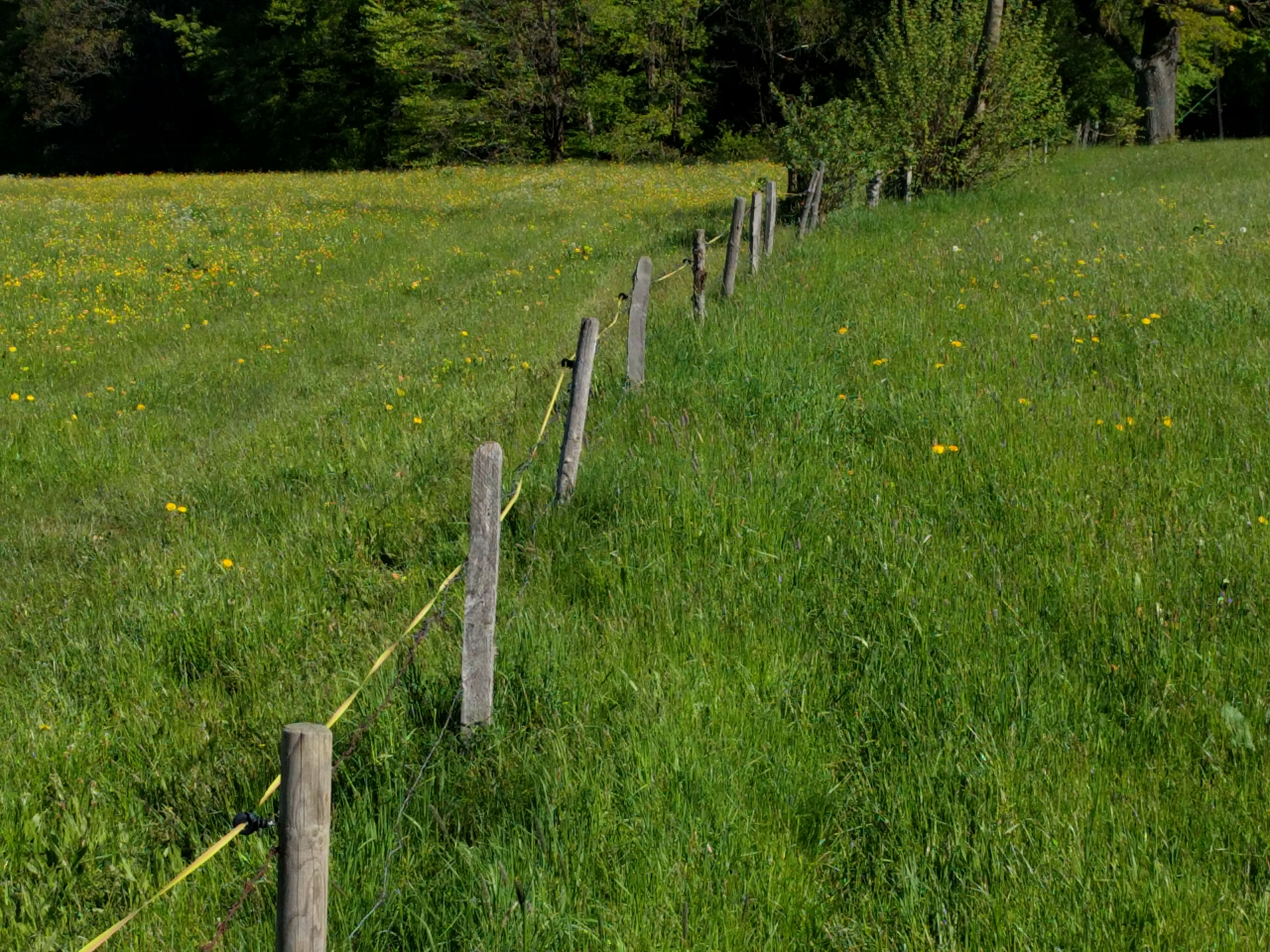 Welche Landwirtschaft wollen wir? - bee political | thomas m. klotz