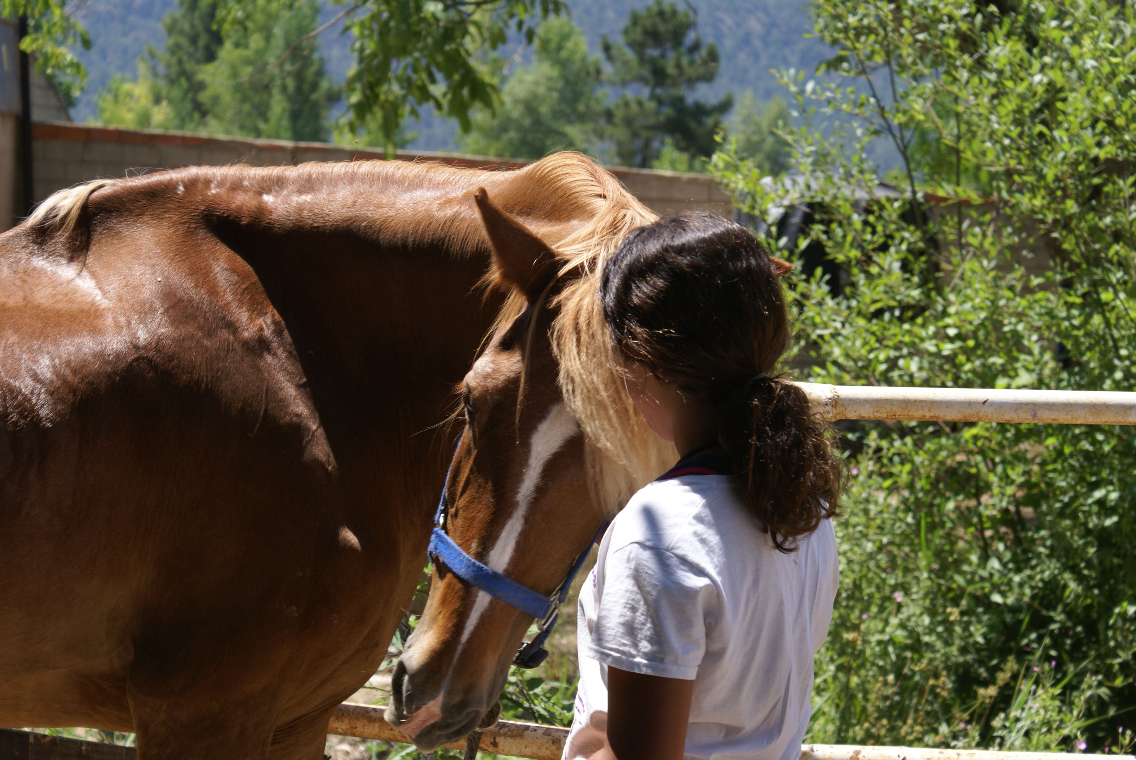 10 Beneficios de montar a caballo CHCB. Club Hípico El Caballo De Bronce 10 Beneficios de montar a caballo CHCB. Club Hípico El Caballo De Bronce