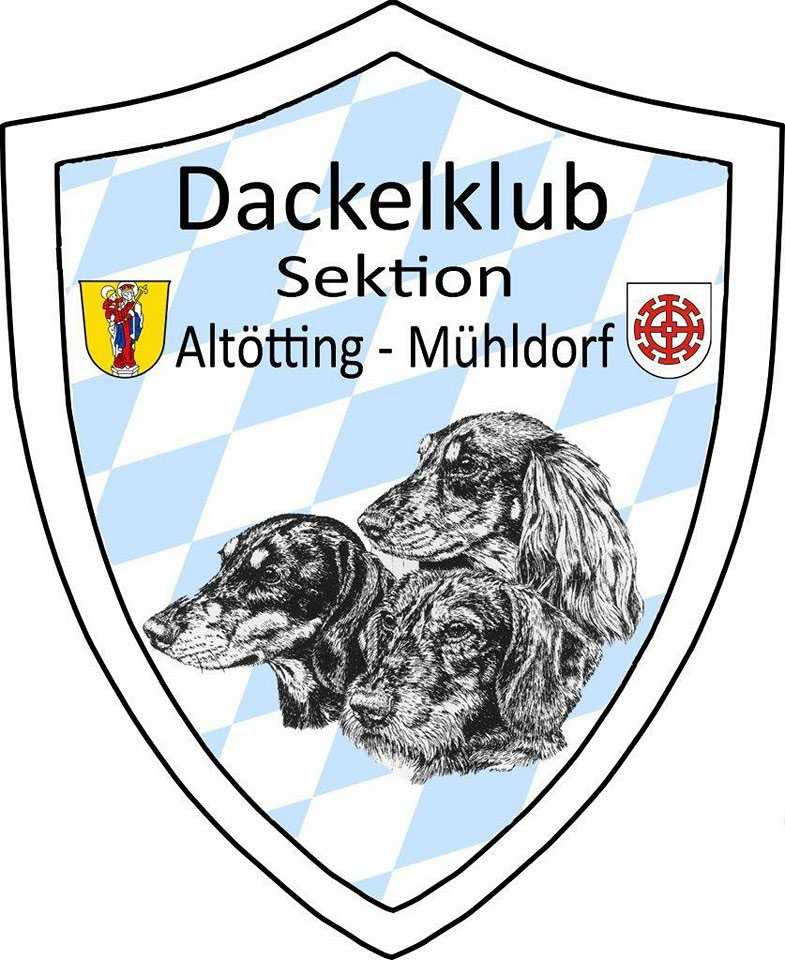 Z chtervortrag Der Sektion Alt tting M hldorf Im BDK Dackelklub