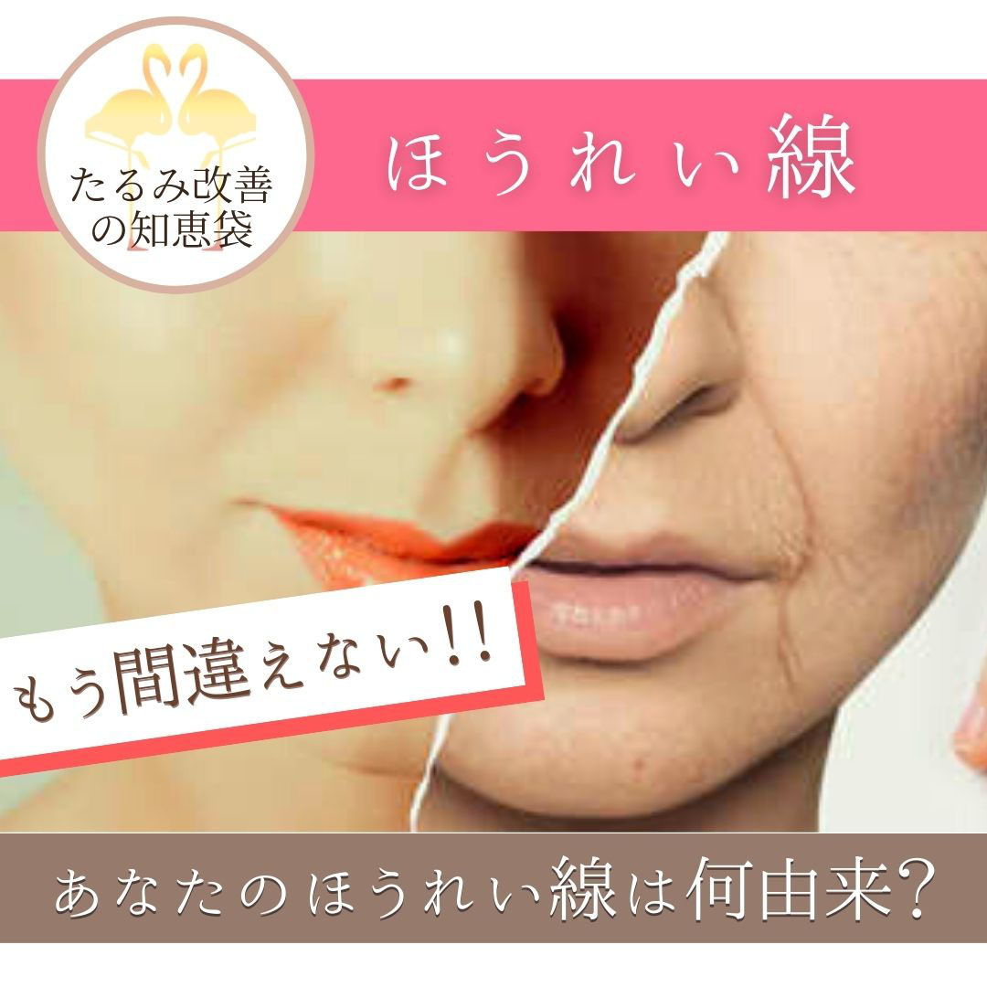 あなたのほうれい線は何由来 異なるタイプのほうれい線 豊橋のたるみ改善専門サロン ポルト ボヌール あなたのほうれい線は何由来 異なるタイプのほうれい線 豊橋のたるみ改善専門サロン ポルト ボヌール