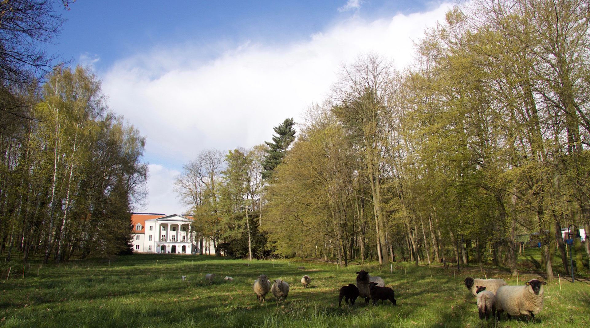 37. Wiedersehen in Löbichau Jean Paul Weg