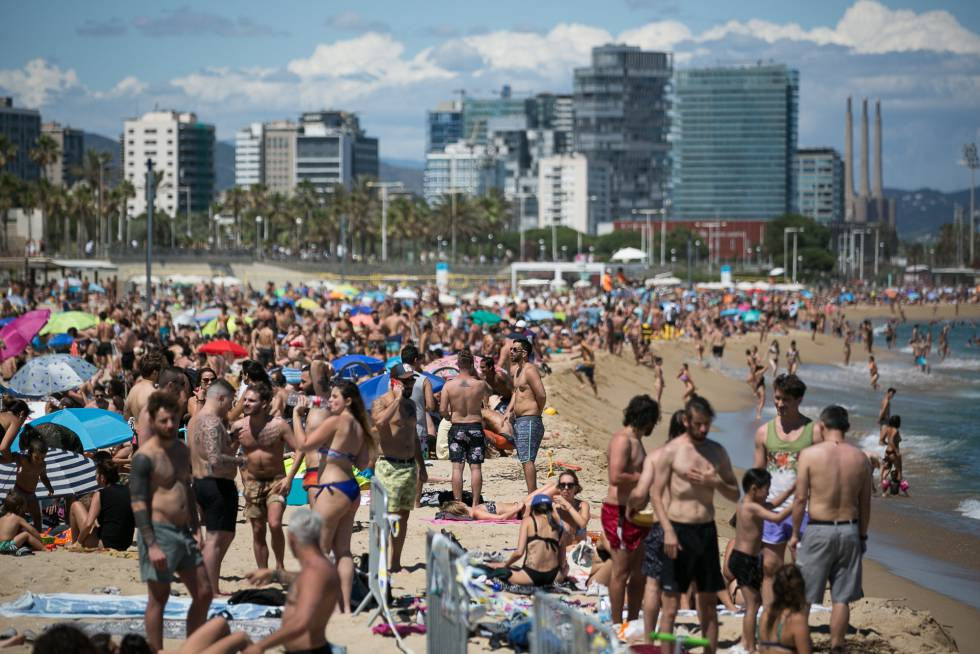 Vaza kashta naqshidagi lilak