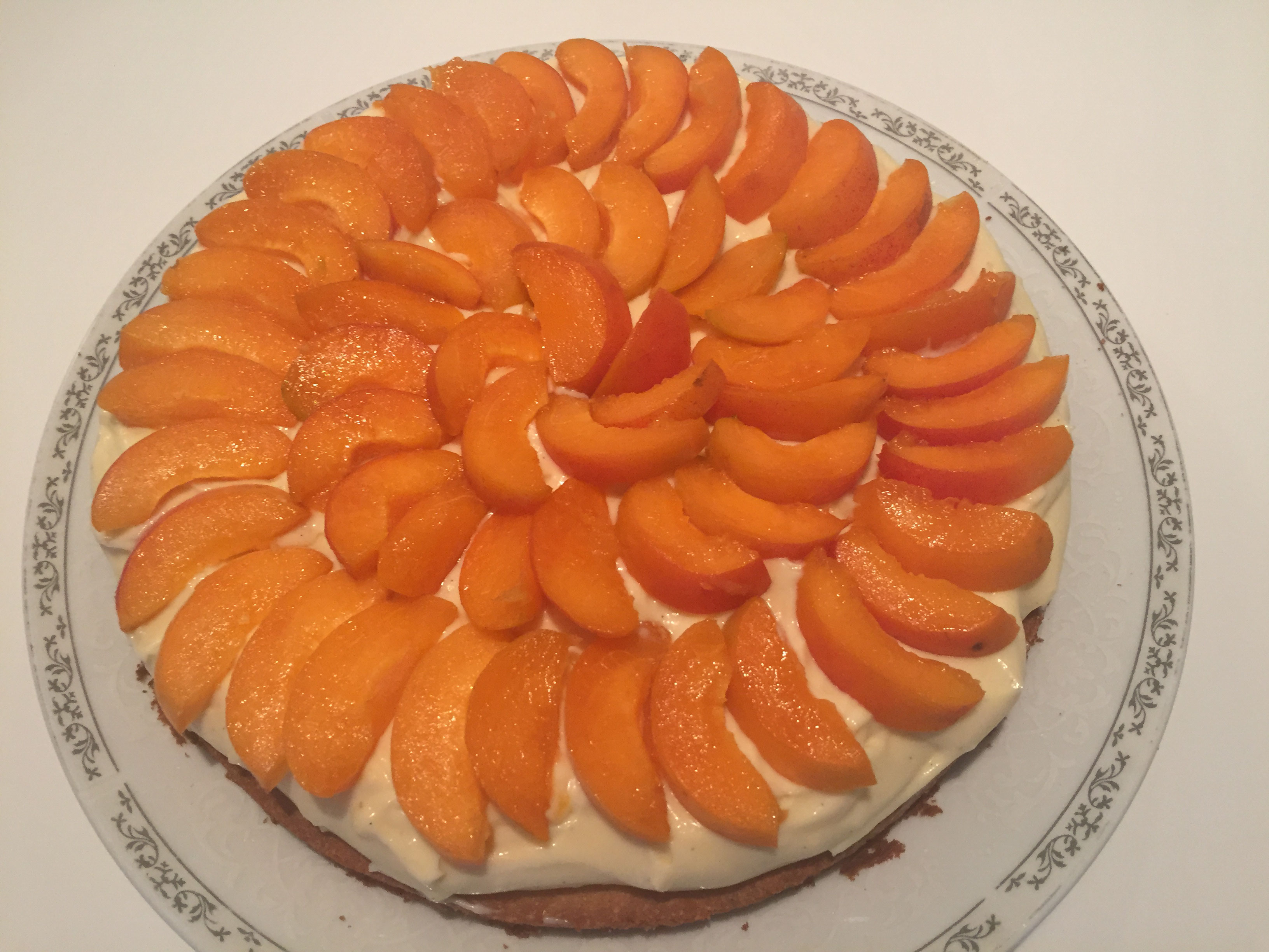 Aprikosen Tarte - Food Blog Kochphilosophen