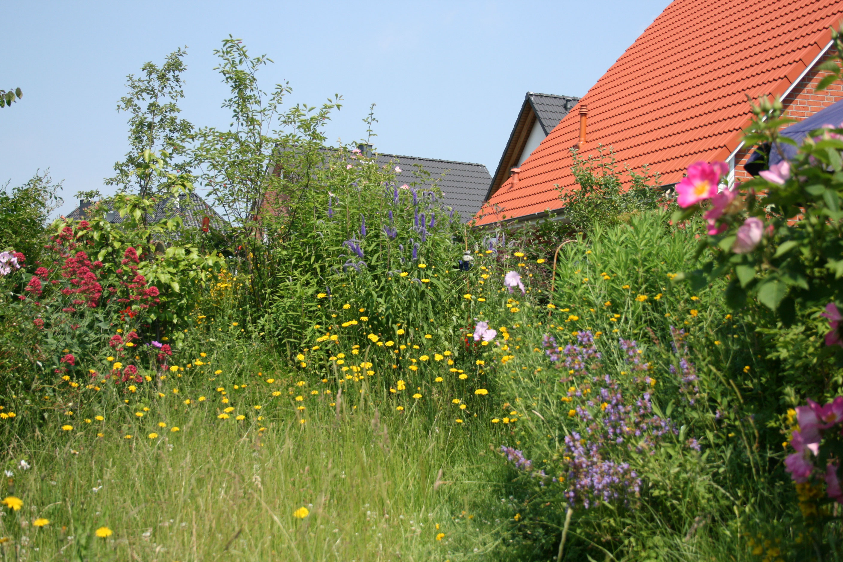 Tipps für einen vogelfreundlichen Garten NABU Sindelfingen/Böblingen