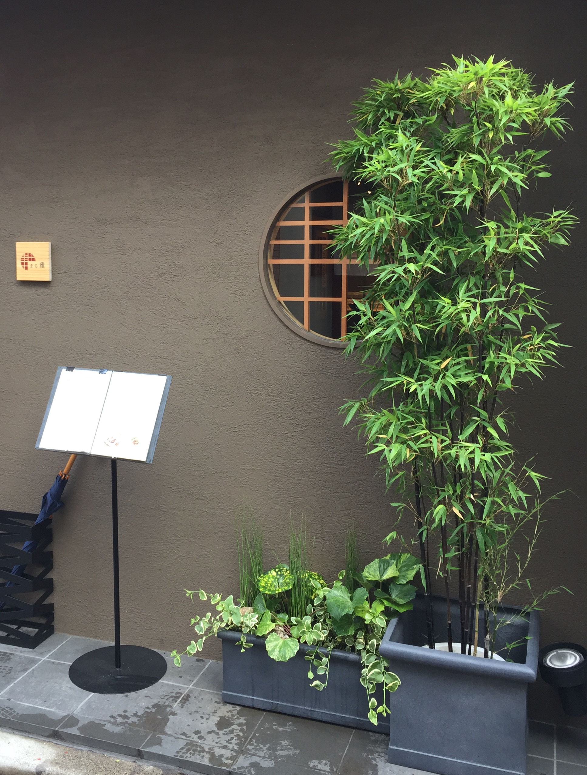 黒竹と和風植物の寄せ植え 花coco 黒竹と和風植物の寄せ植え 花coco