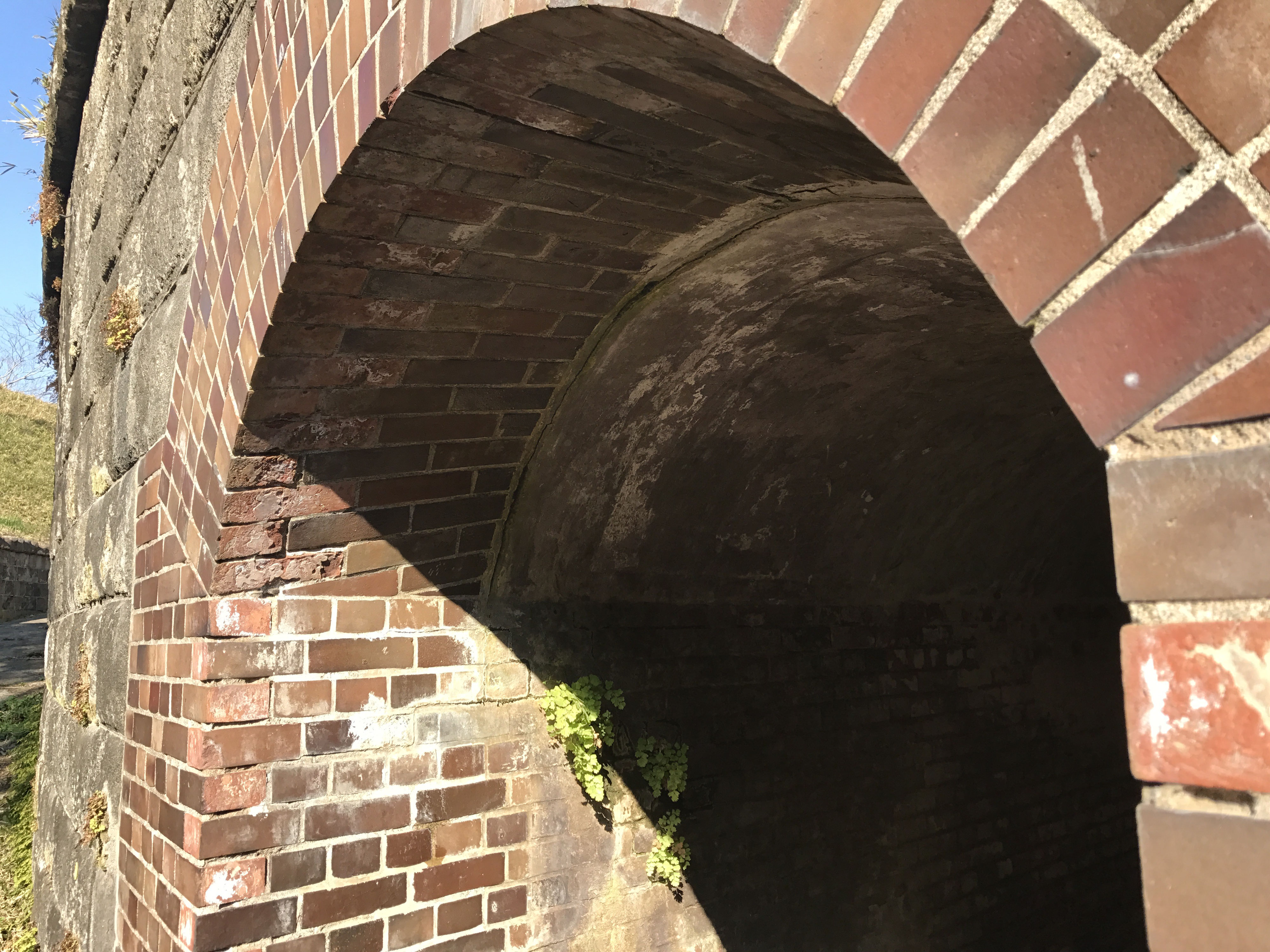 4000x3000 pimpandhost IMG 130