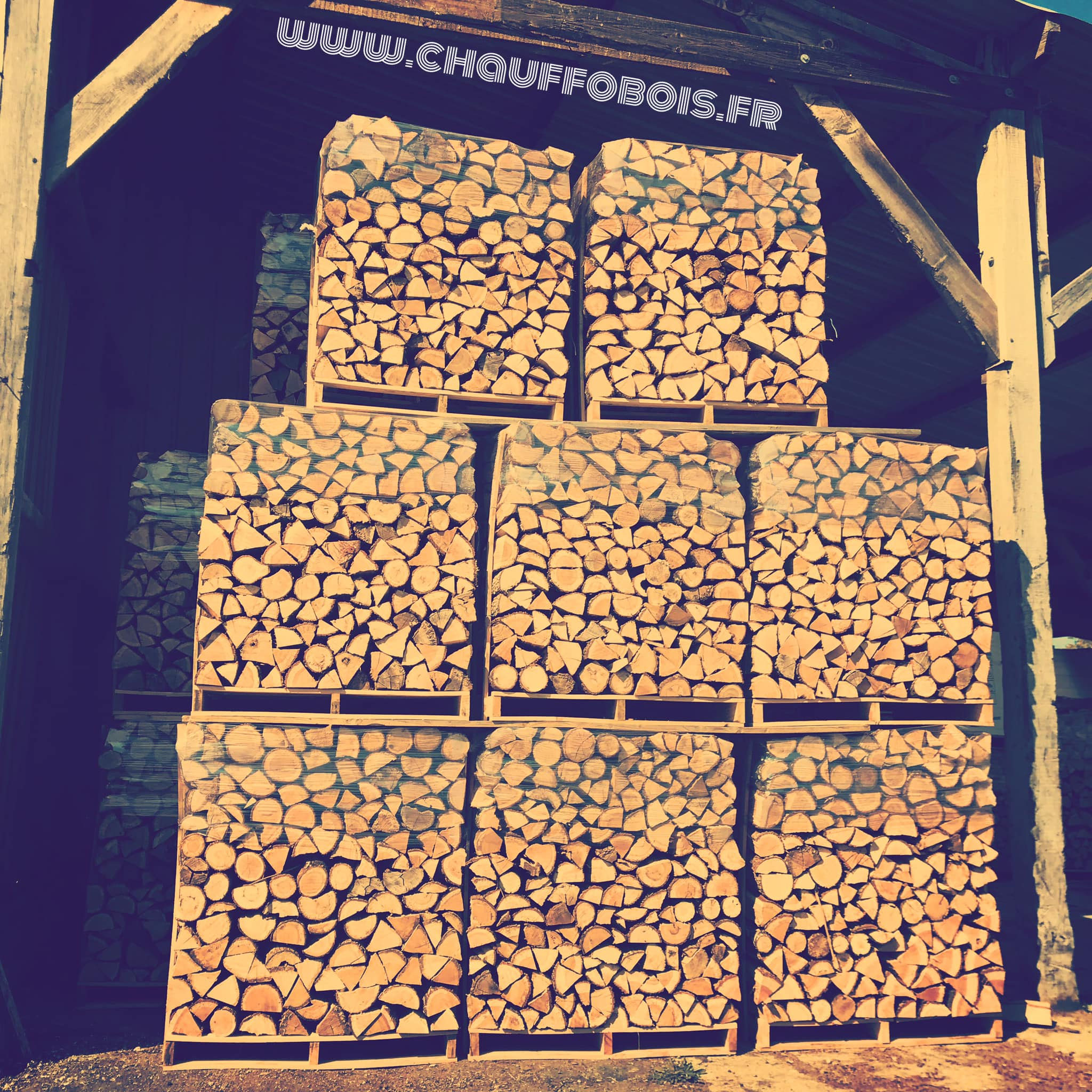 Nous préparons déjà l’hiver prochain, et vous ? Bois de chauffage 49