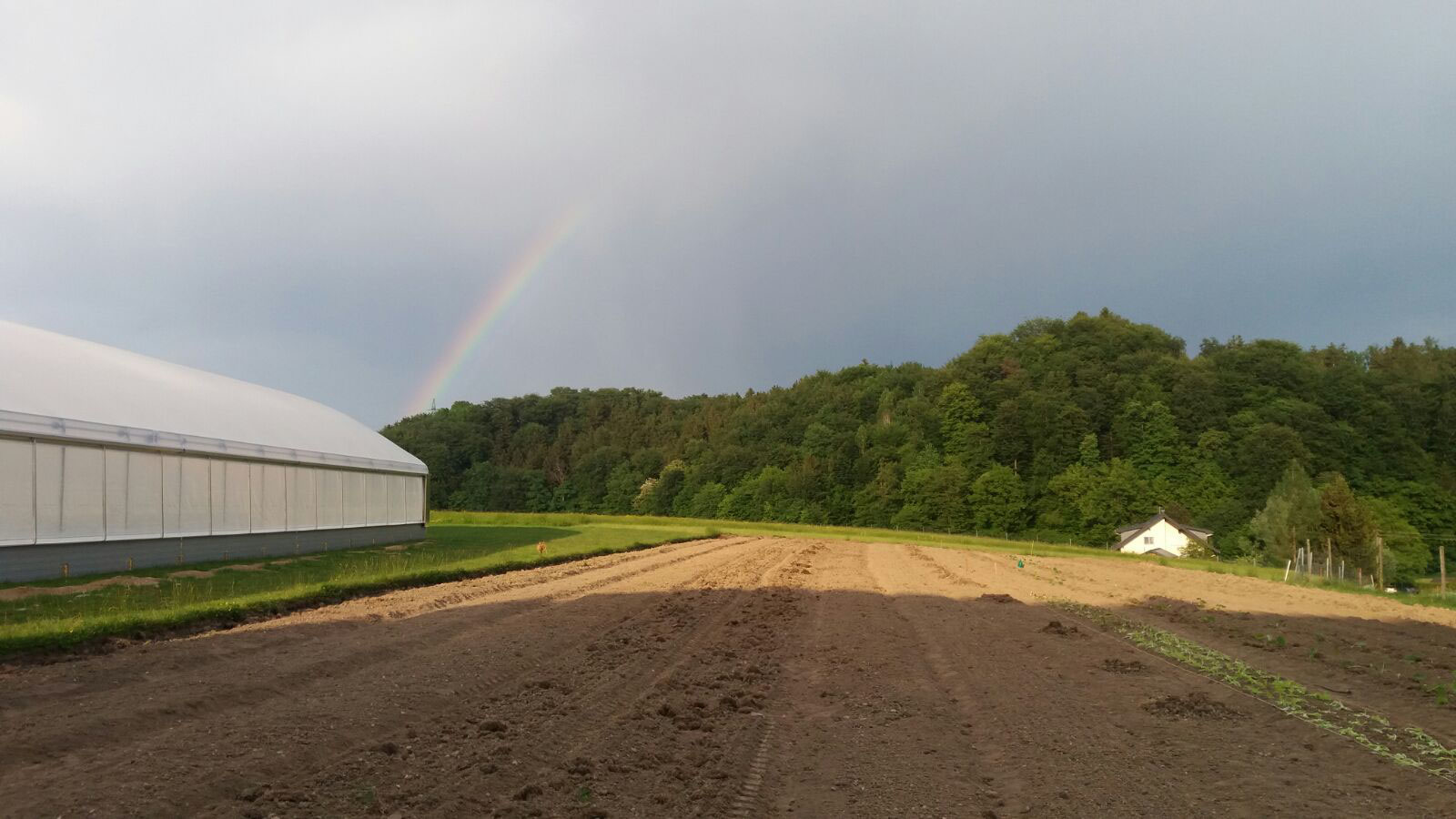 SOLIDARISCHE LANDWIRTSCHAFT - AB JETZT! - Belehof