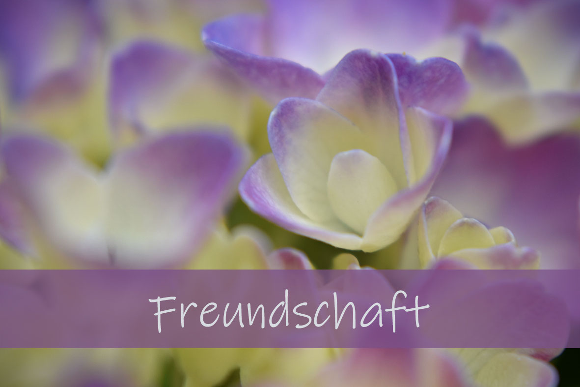 Freundschaft Was bedeutet das eigentlich? Für ein einfühlsames