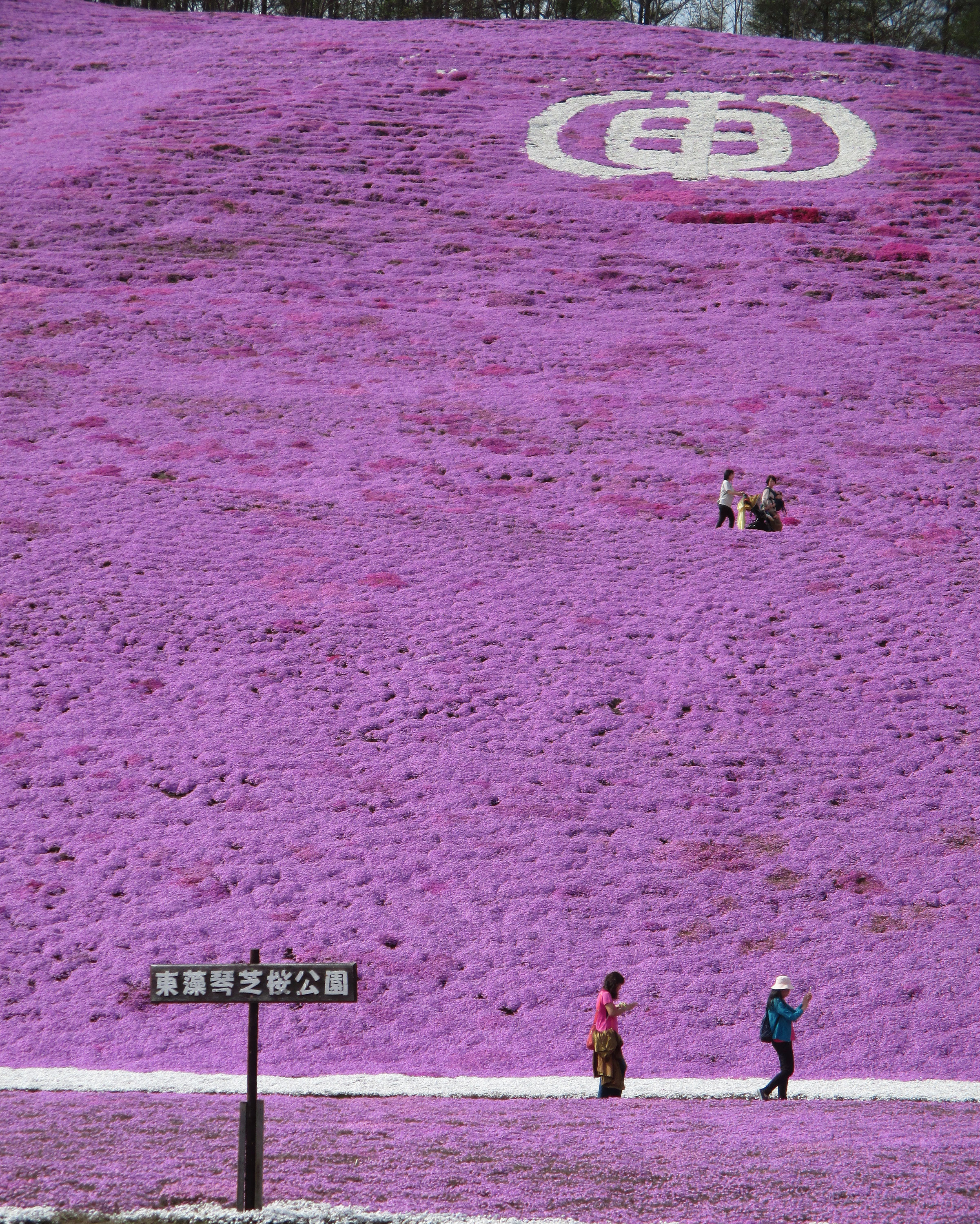 本ぼけ珊瑚　観音像　台込高さ約14.5㎝/138g 東Y7-0729⭐︎2Fトトカ 本ぼけ珊瑚 観音像 台込高さ約14.5㎝/138g 東Y7-0729