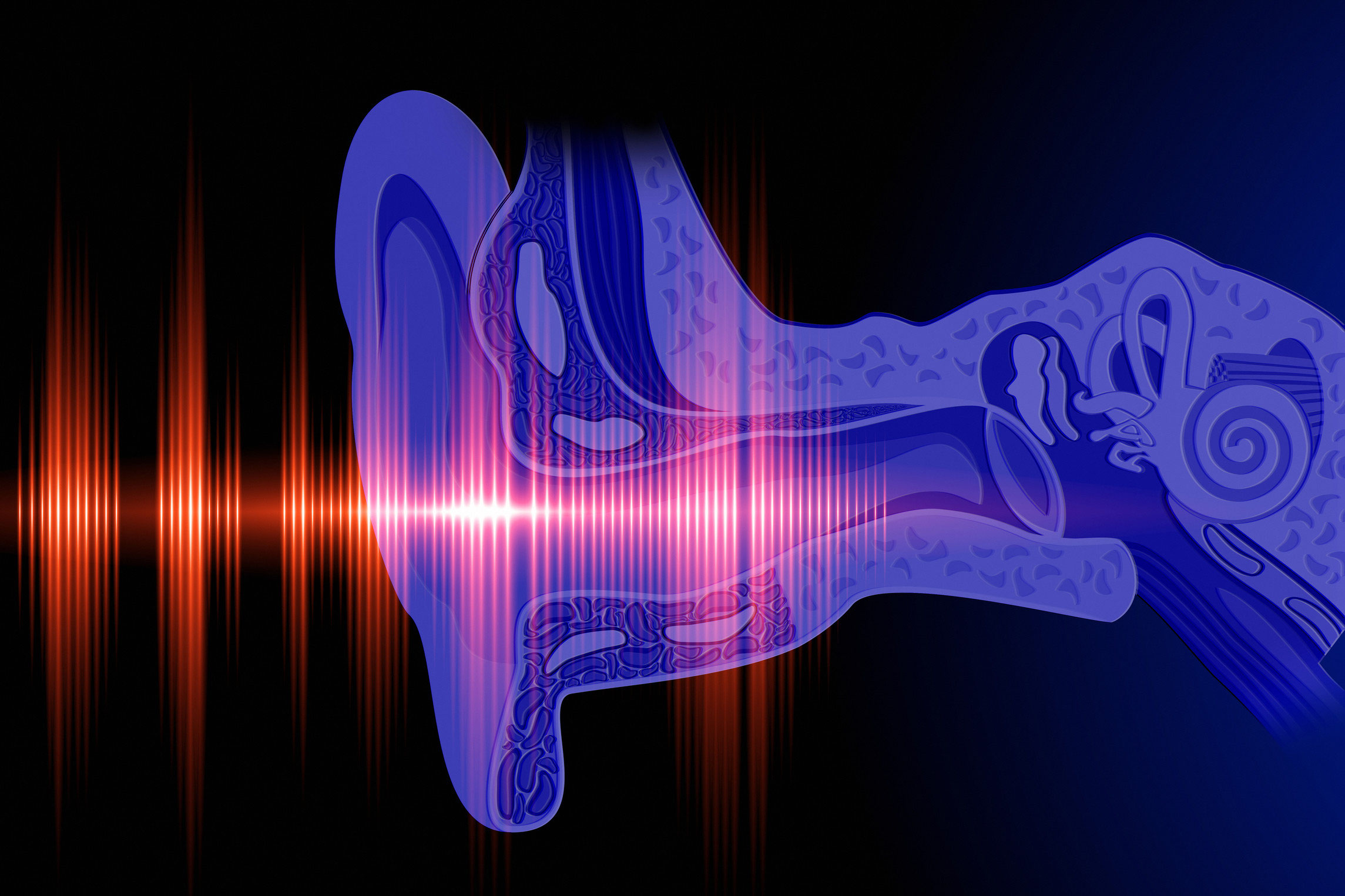 Tinnitus mit TCM behandeln ANSHIN TCM Praxis Berlin Wilmersdorf