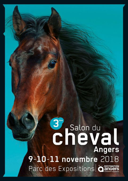 Salon Du Cheval Angers 2018 Chambres D Hotes De Charme