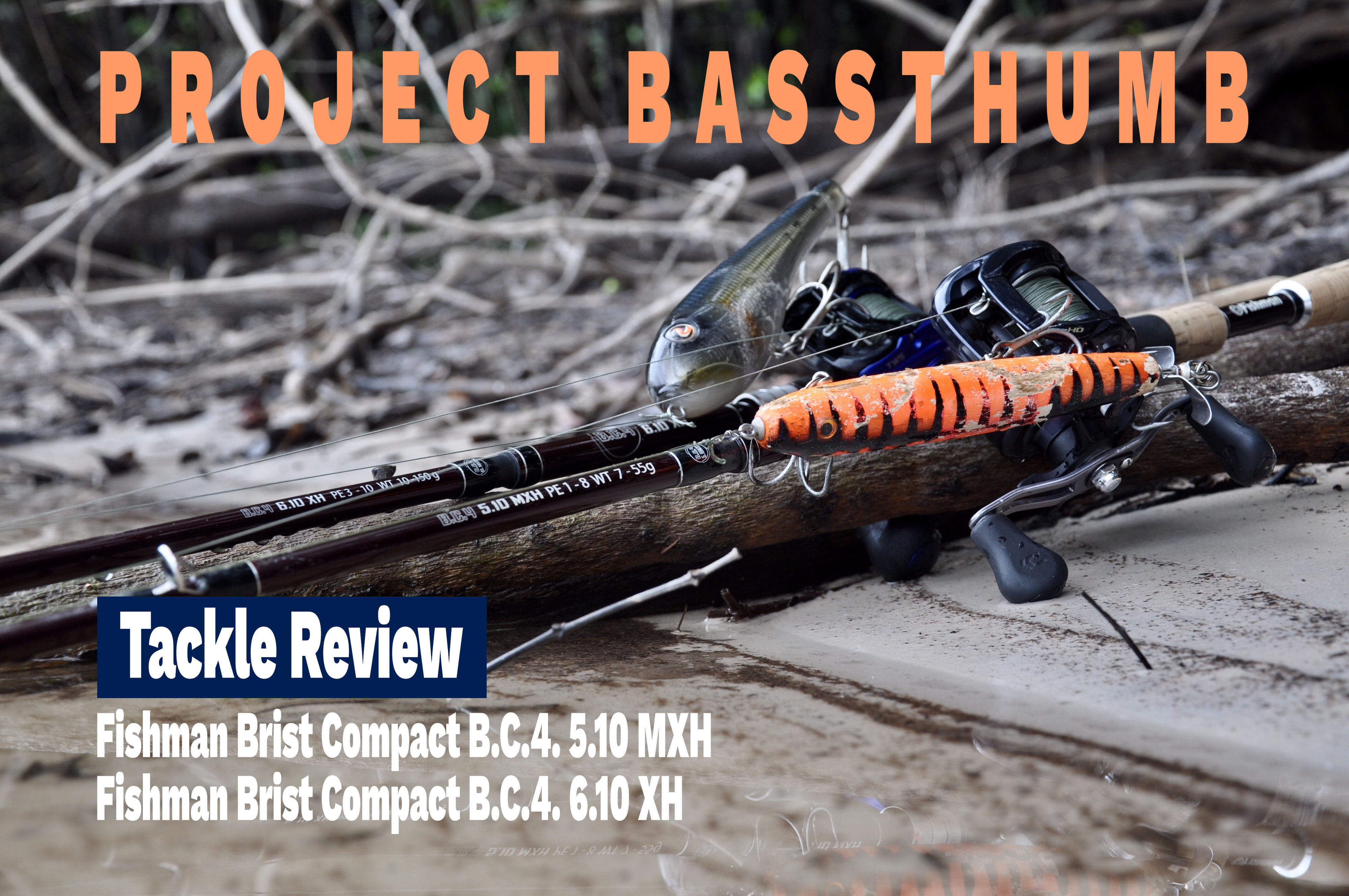 Review: Fishman Brist B.C.4 MXH & XH - projetbassthumb