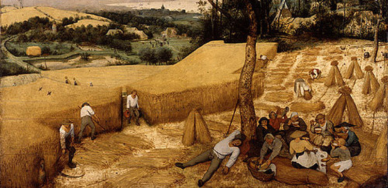 Bauern im Mittelalter - newschiss Webseite!