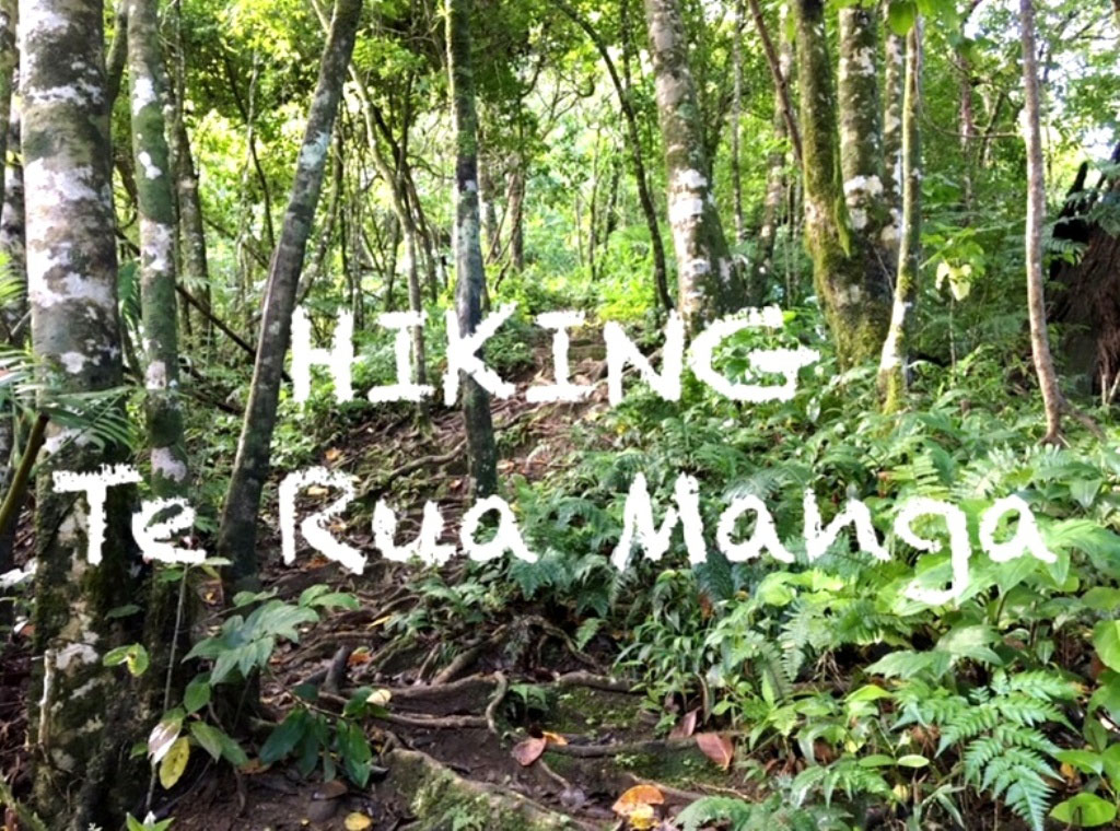 Hiking Te Rua Manga See Cook Islands