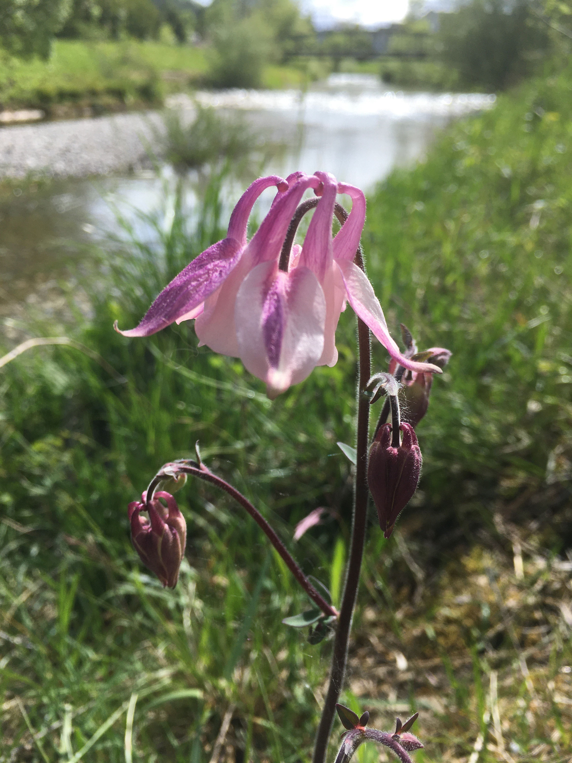 Ruflo.ch: Blog - Theologin - Agronomin ETH - Careökonomin