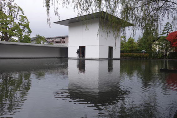 鈴木大拙館を見る 東京建築散歩
