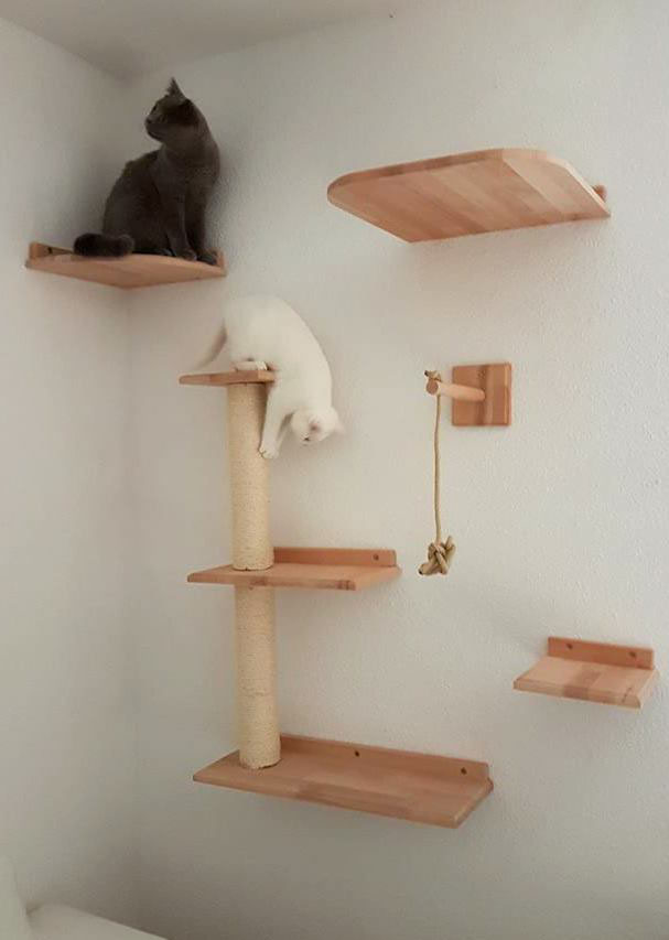kratzbaum f 252 r katzen an der wand tolle katzen kratzbaum f 252 r katzen an der wand tolle katzen