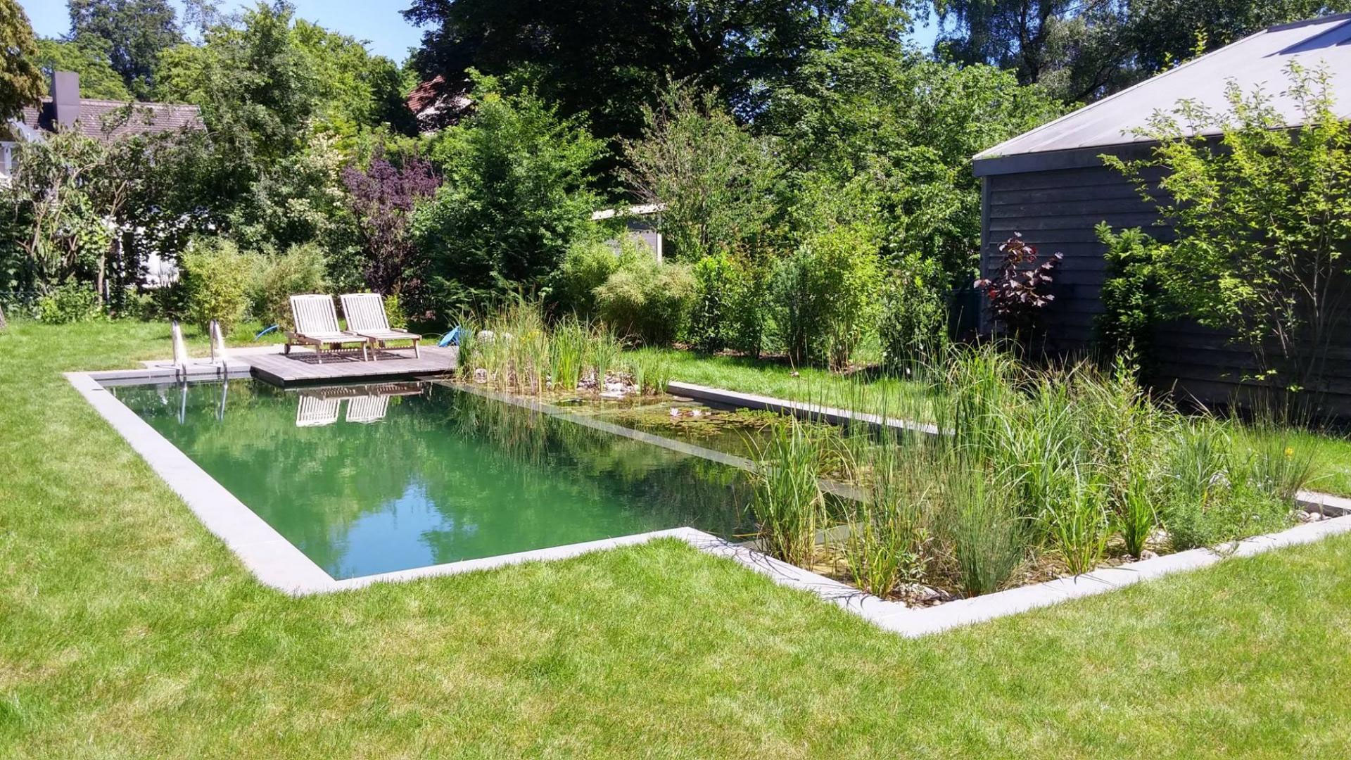 Piscine naturelle coût d’entretien, aspect écologique et sécurité (3/ — free download