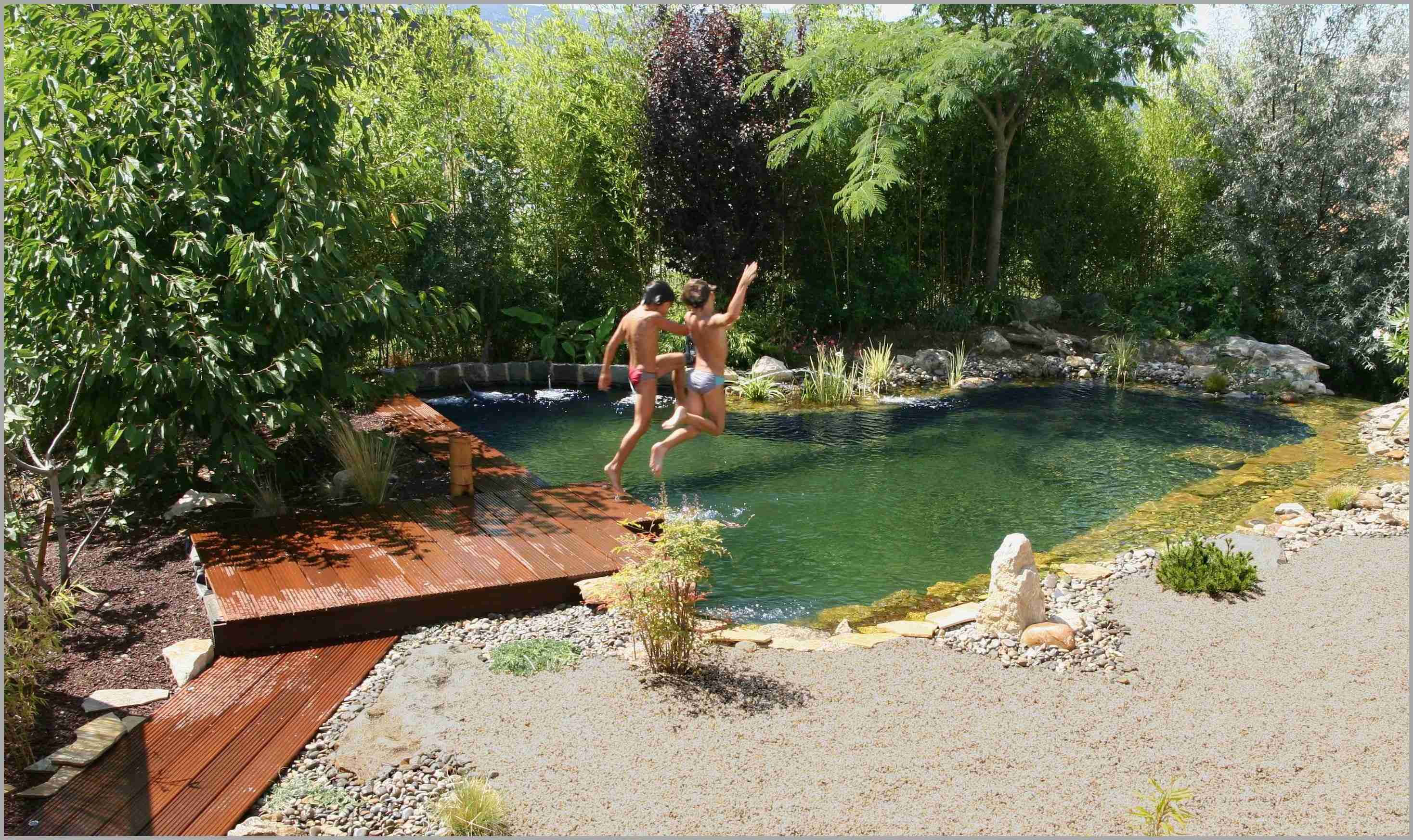 Piscine naturelle coût d’entretien, aspect écologique et sécurité (5/ — free download