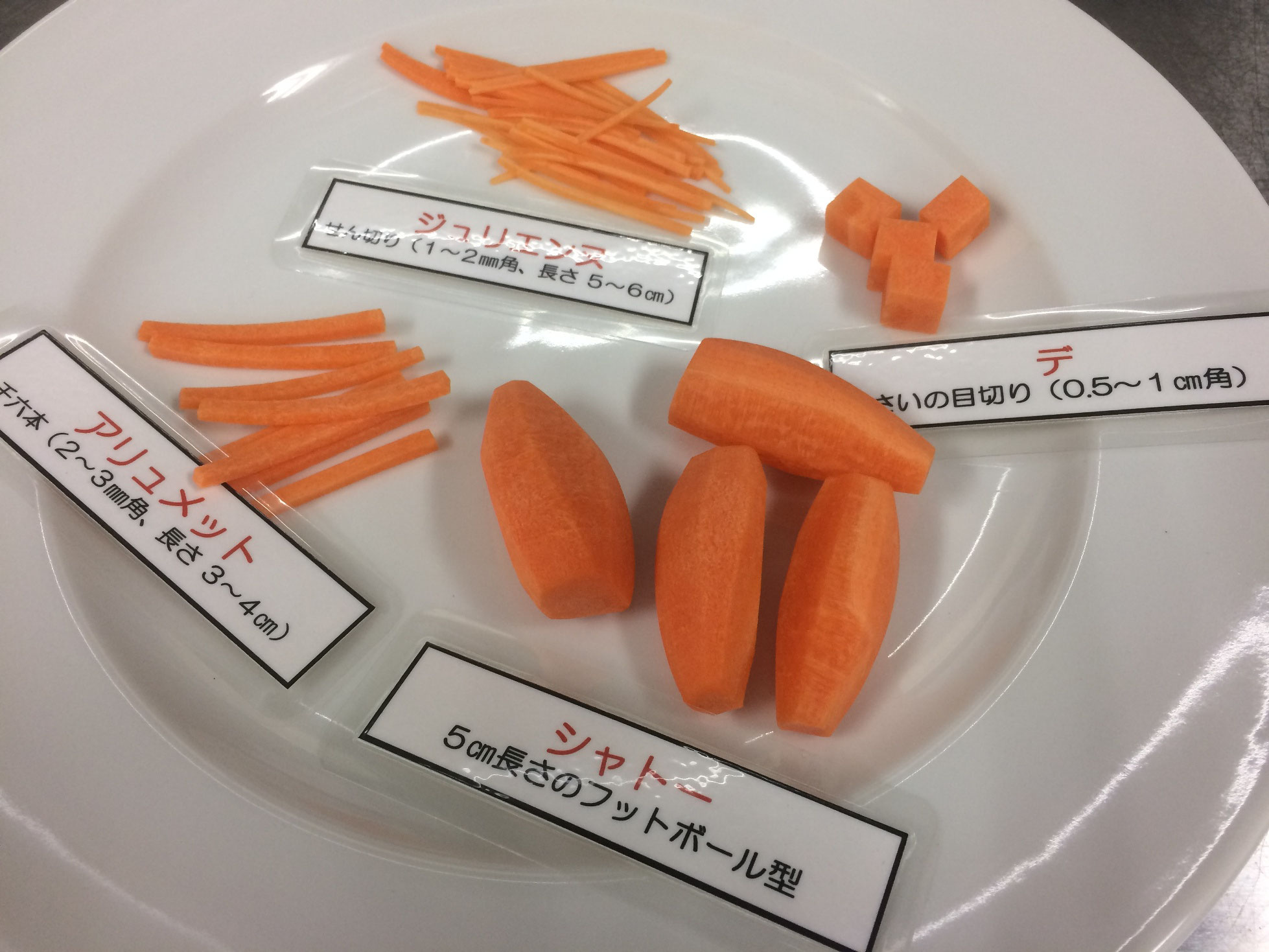 最初の授業は西洋料理実習 ここからはじまる夢がある 最初の授業は西洋料理実習 ここからはじまる夢がある