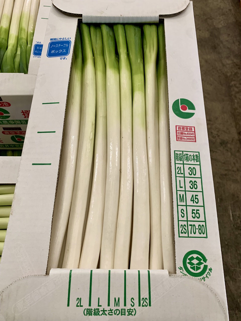 大特価放出！ 岩井のネギをご紹介 岩井中央青果｜茨城県坂東市｜青果市場 - 野菜