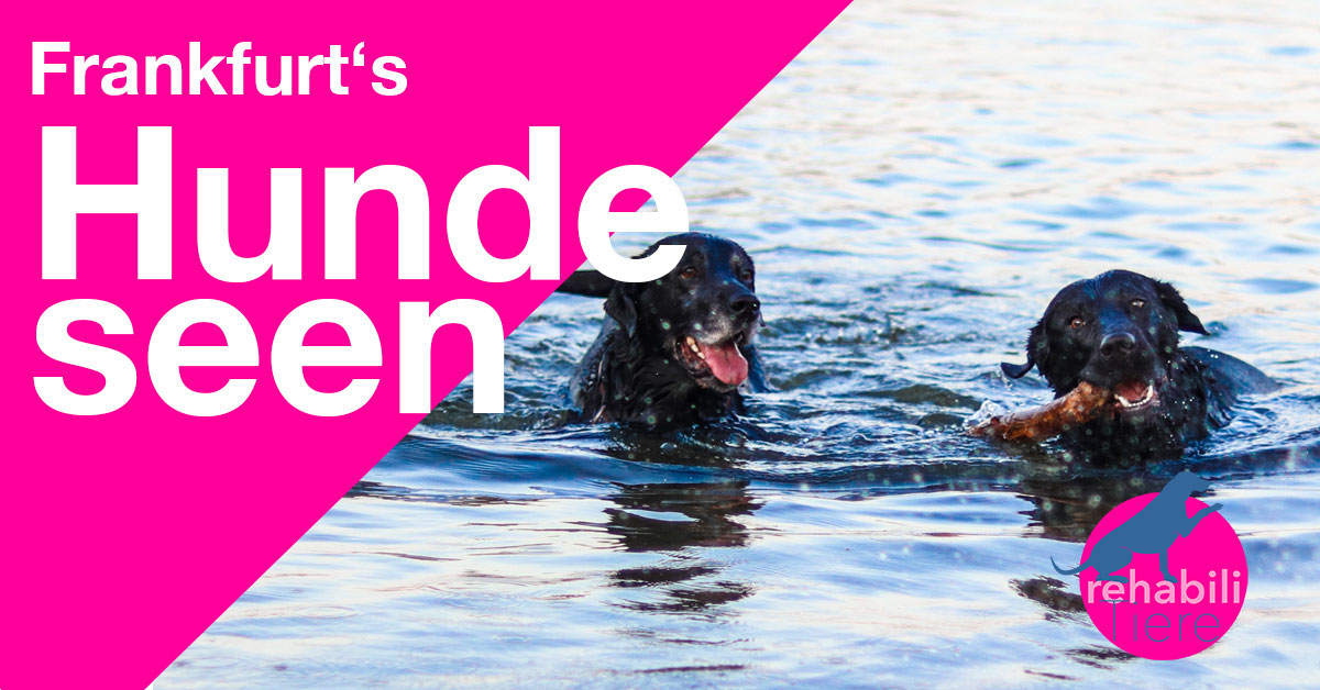 owalo design Hunde Frankfurt