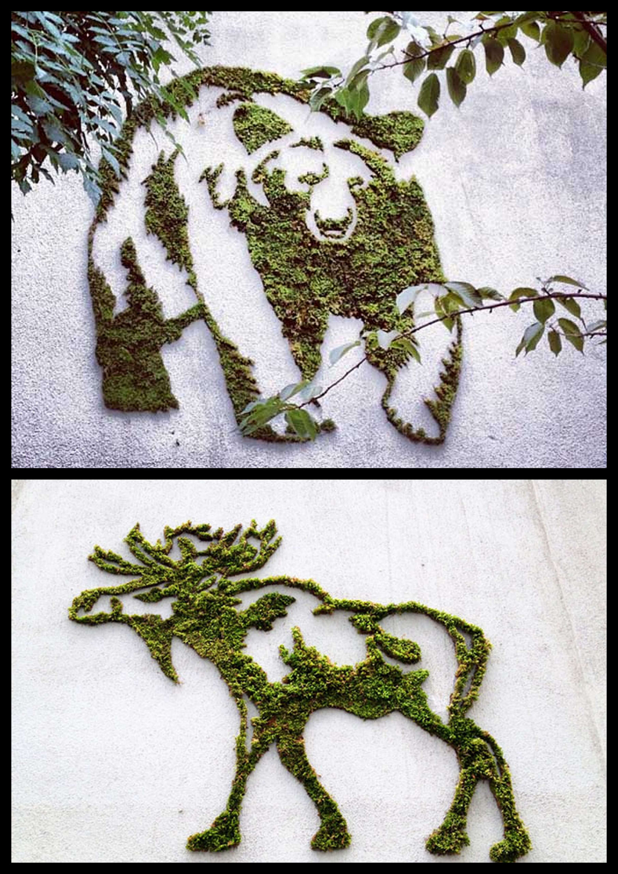 Tutoriel Comment Faire De L Eco Street Art Du Graffiti Vegetal Avec De La Mousse Slave 2 0