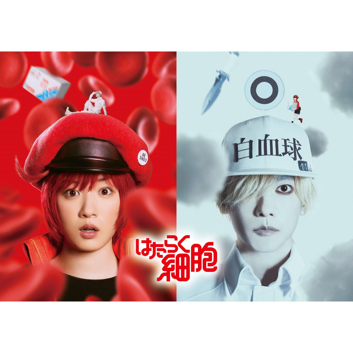 永野芽郁、佐藤健で実写化！『はたらく細胞』超特報 - いい音＆大画面